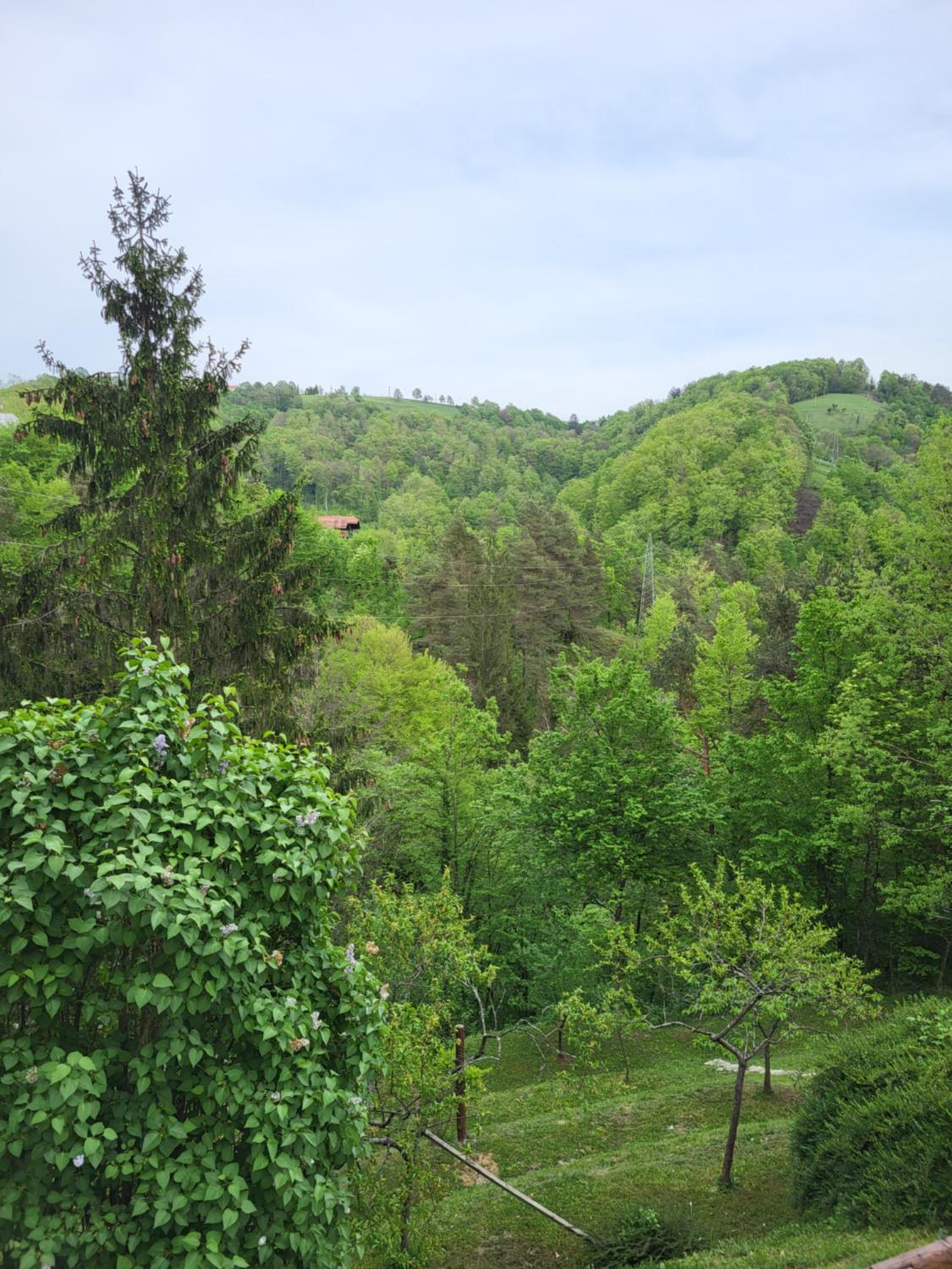 Babičina hišica