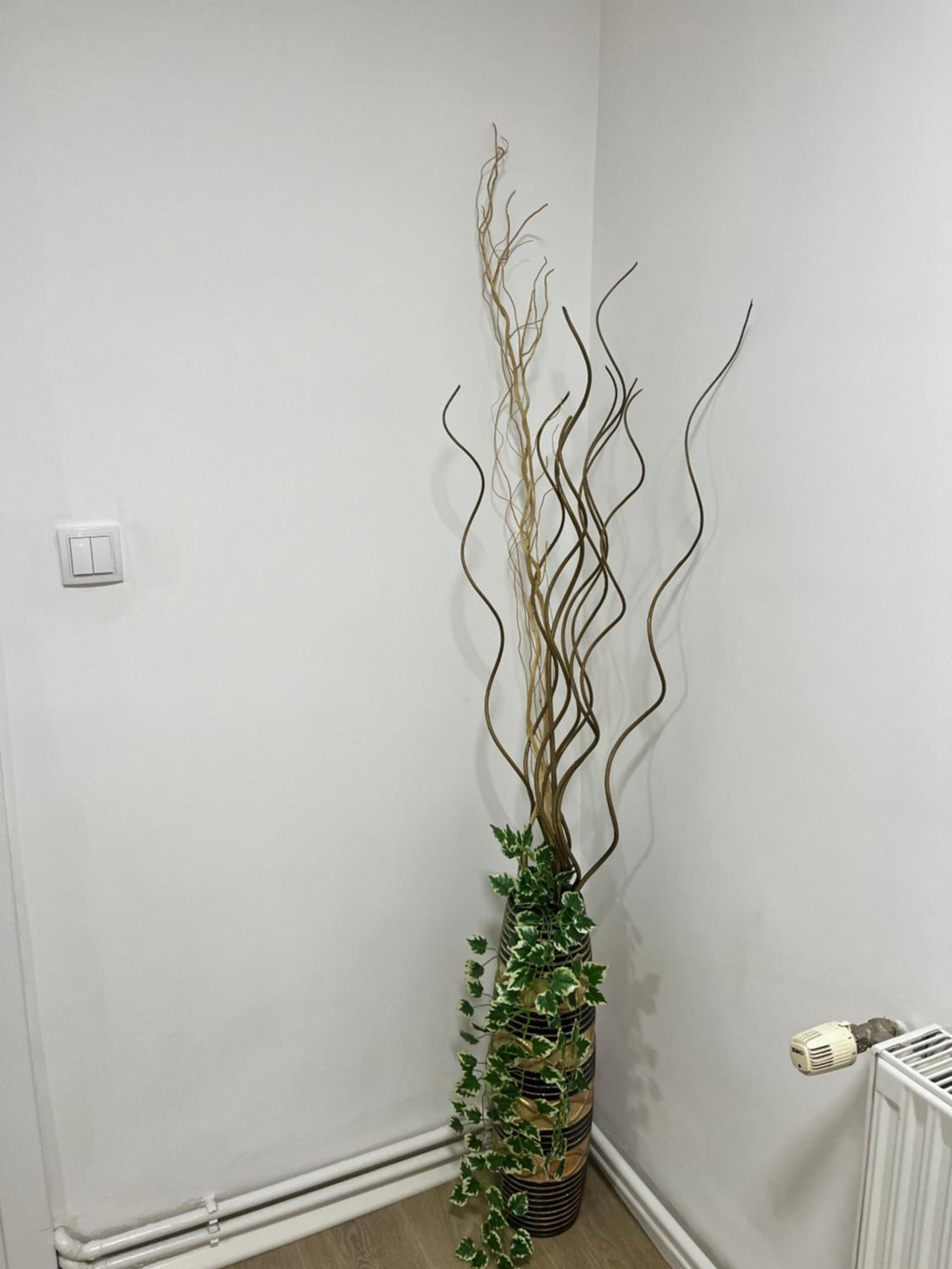 Apartment Irma