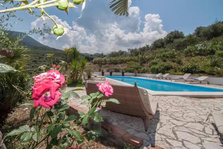 villa costanza