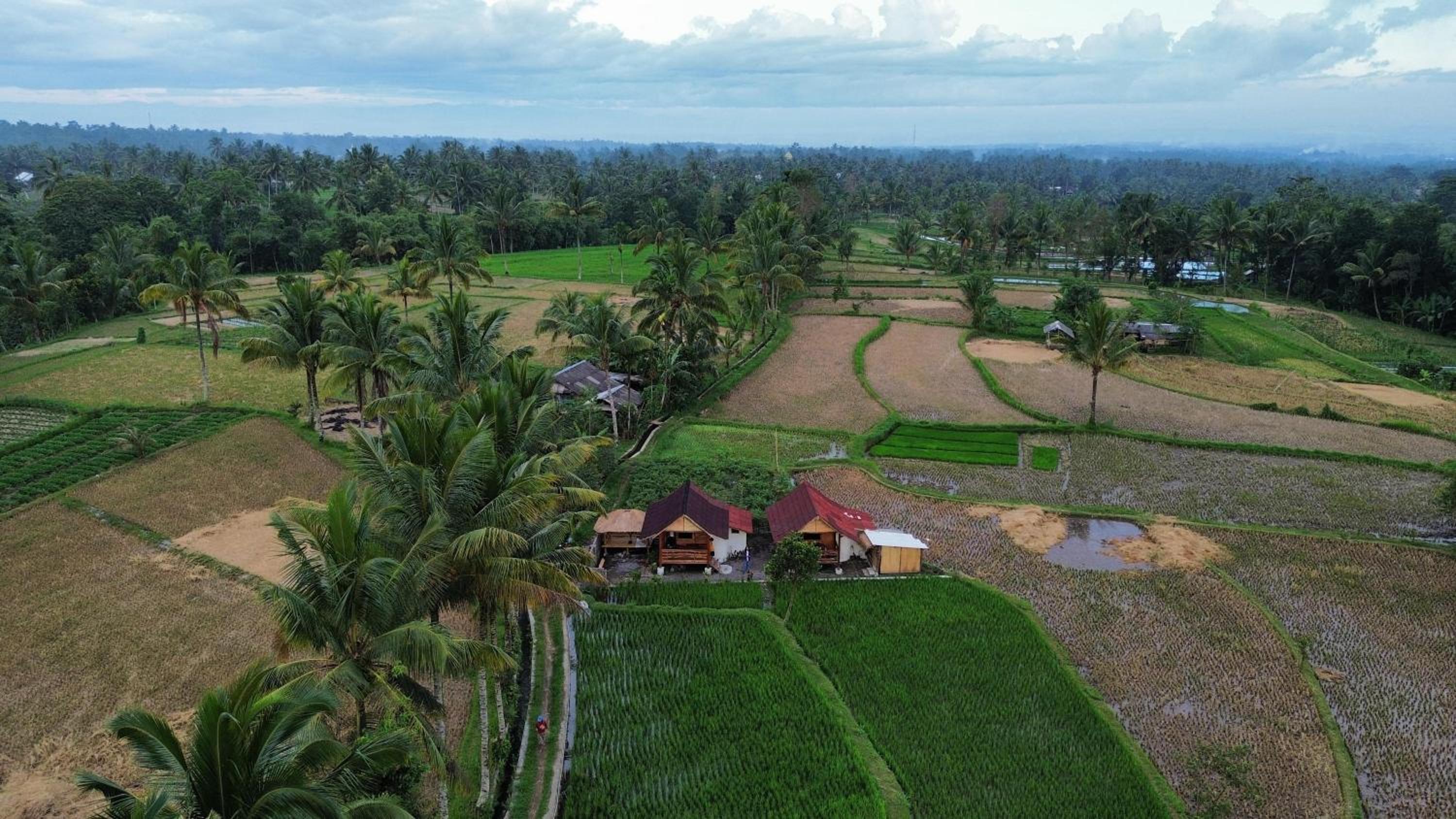padi bungalow