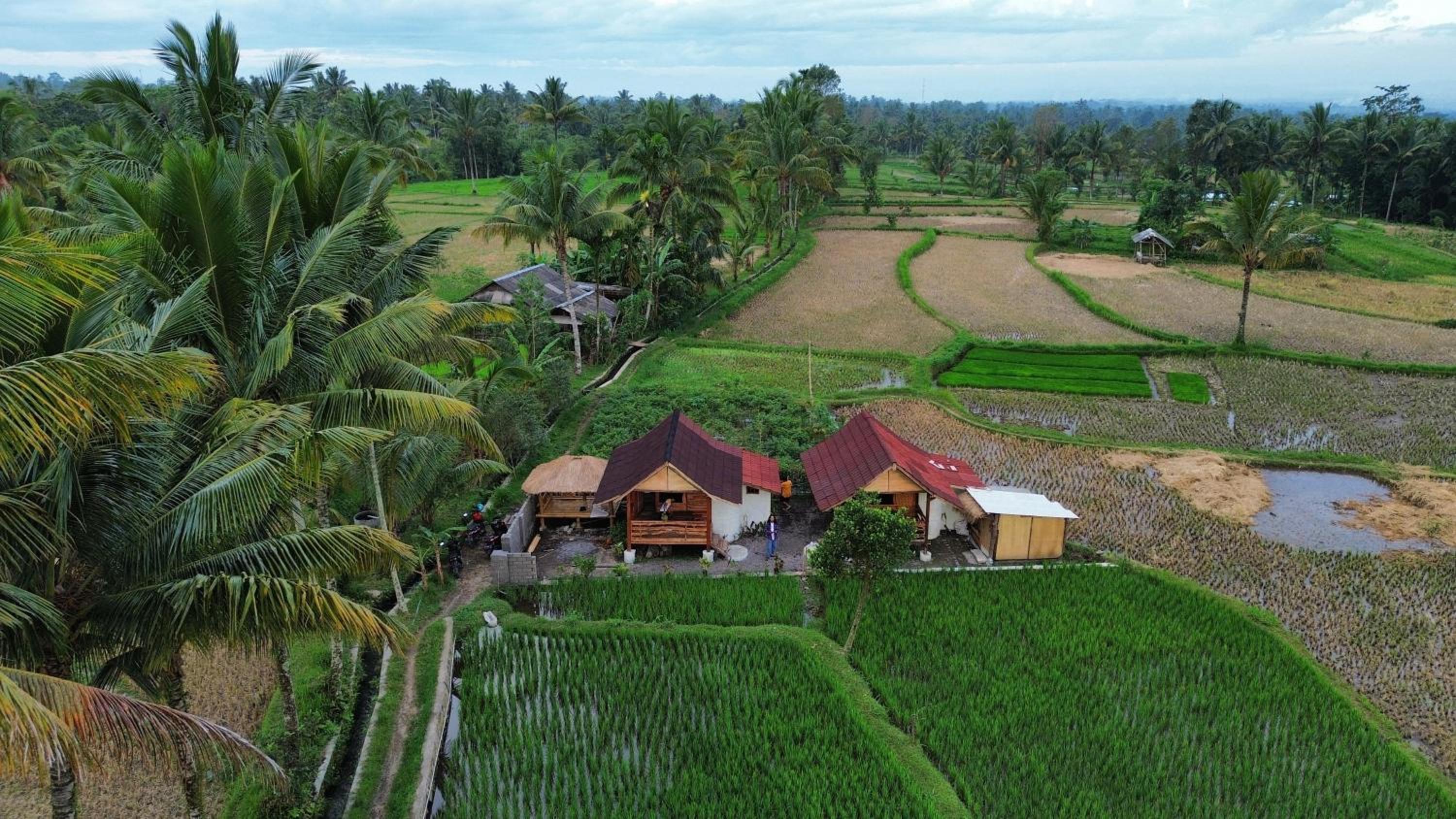 padi bungalow