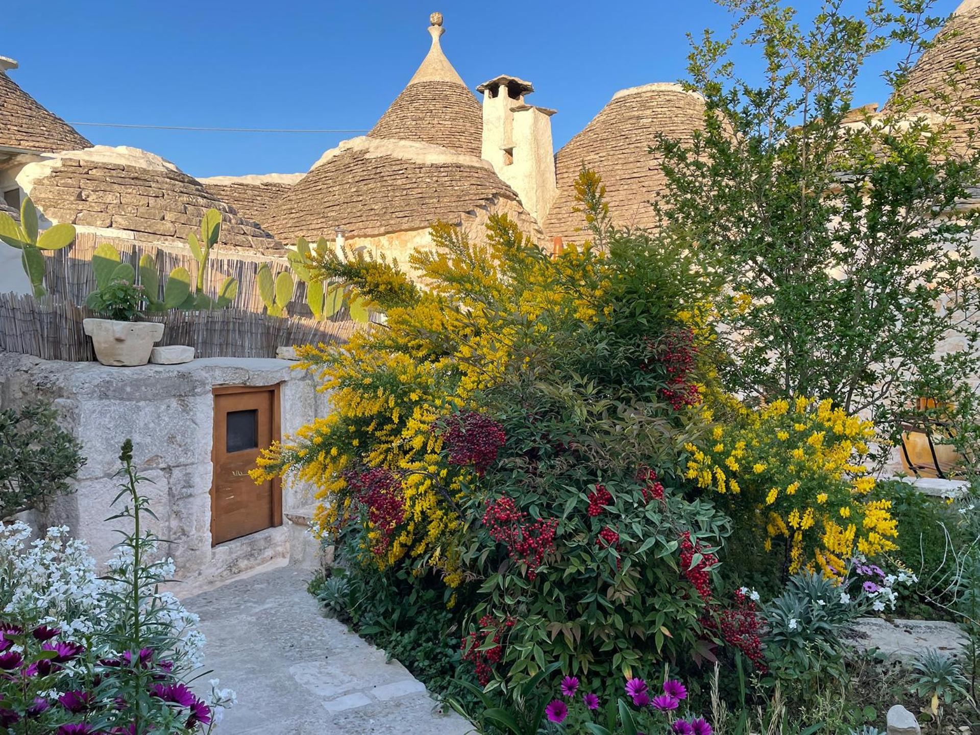 Trullo Aprìco photo 5
