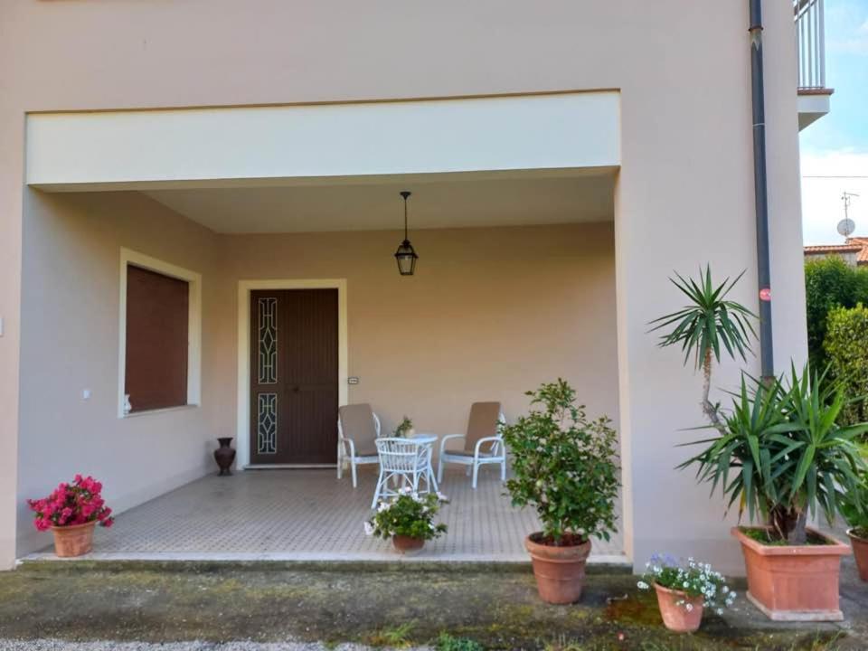 La Casa dell'Olivo view 3