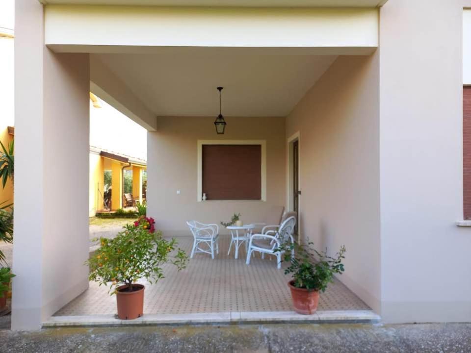 La Casa dell'Olivo view 5