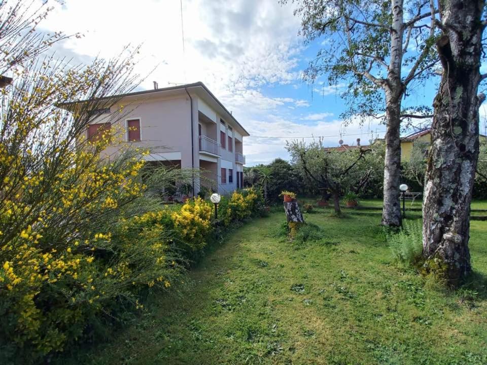 La Casa dell'Olivo view 2