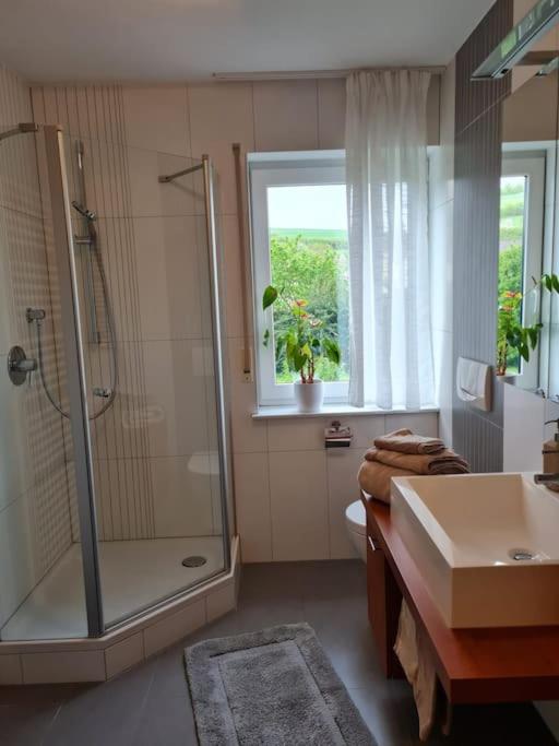 Ferienwohnung Panoramablick