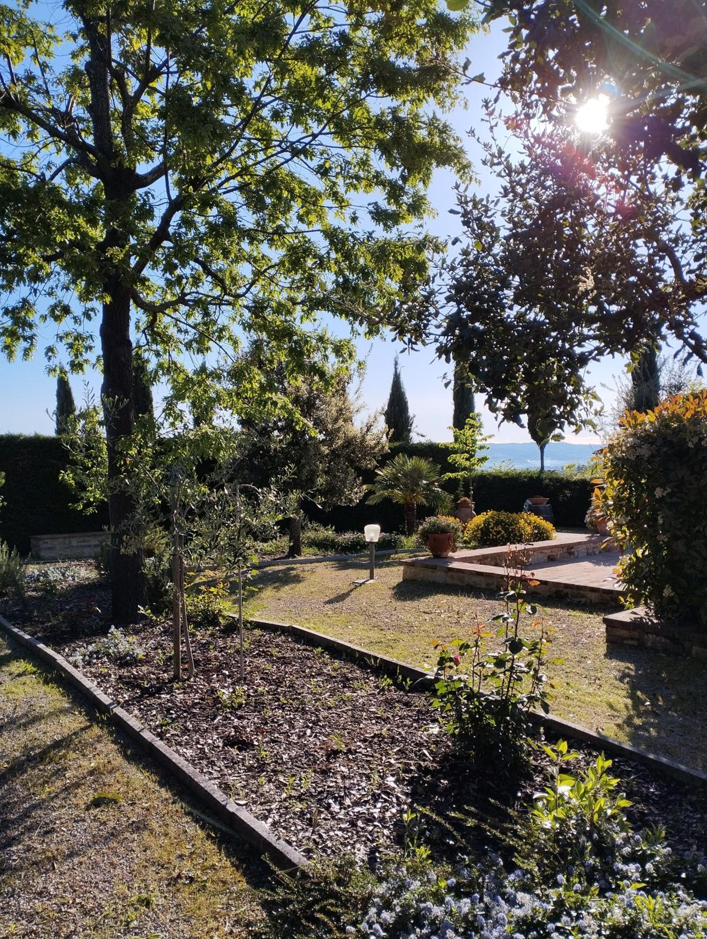 Rocca degli Olivi