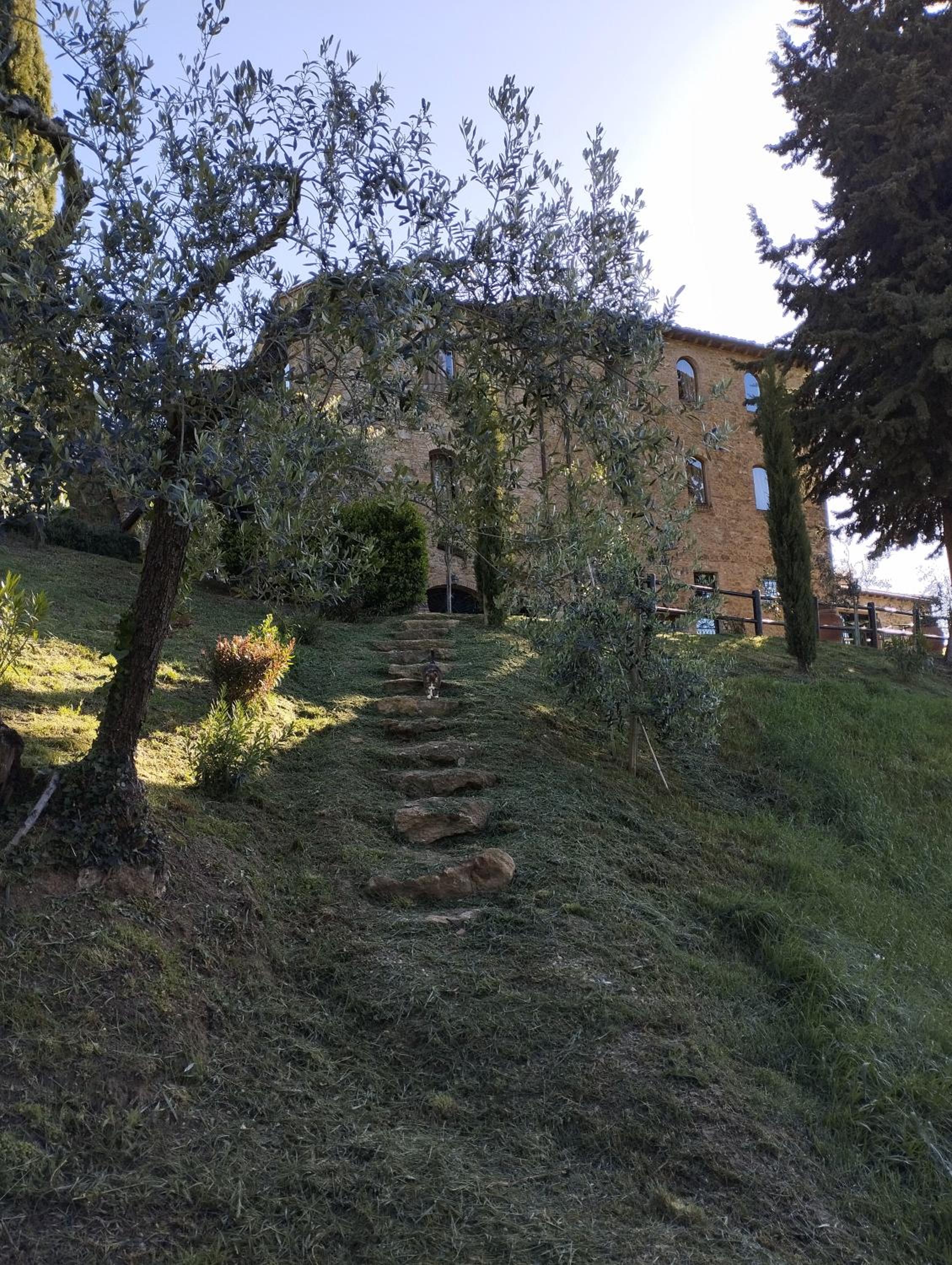 Rocca degli Olivi
