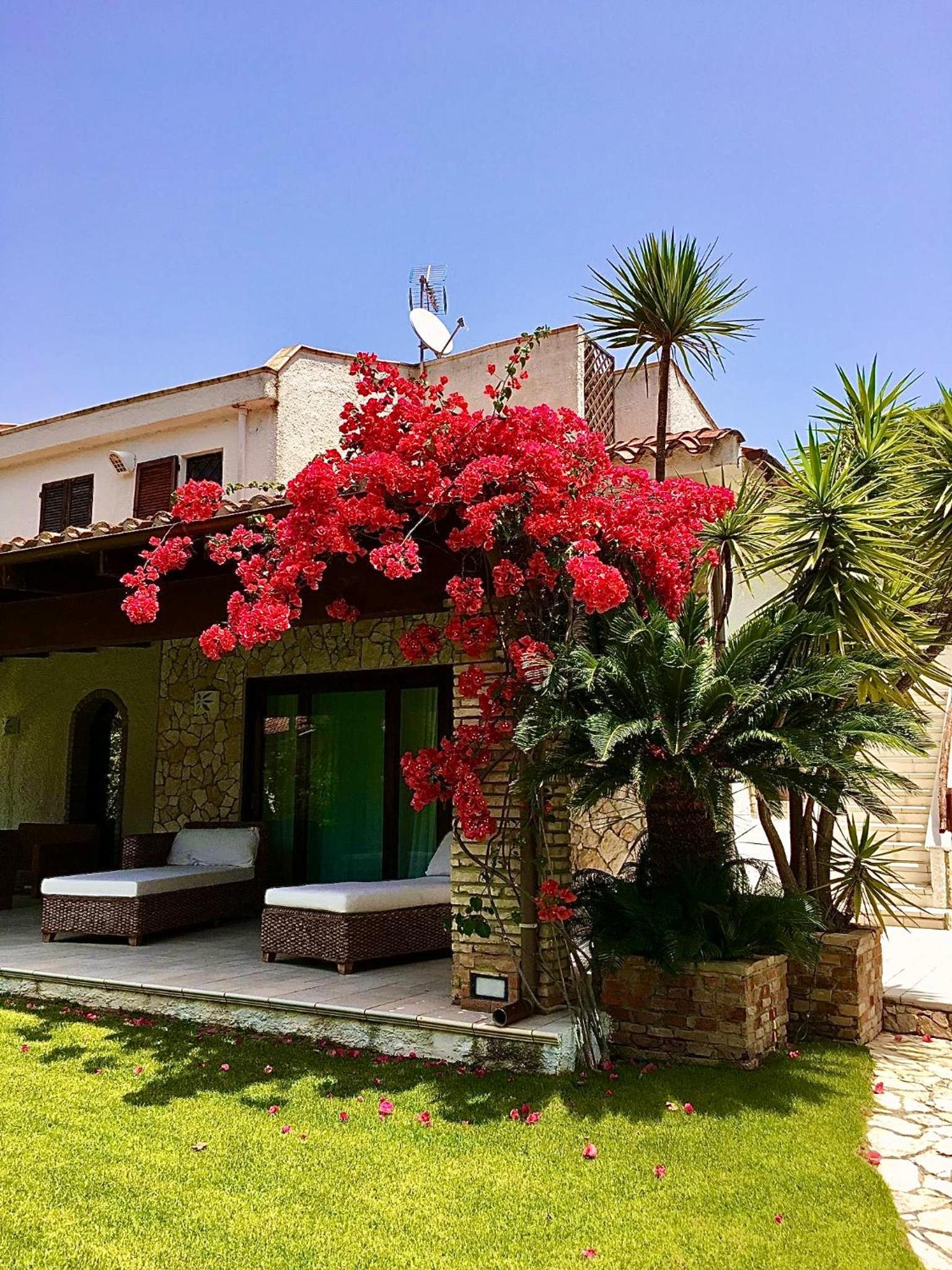 Villa Amantea photo 3