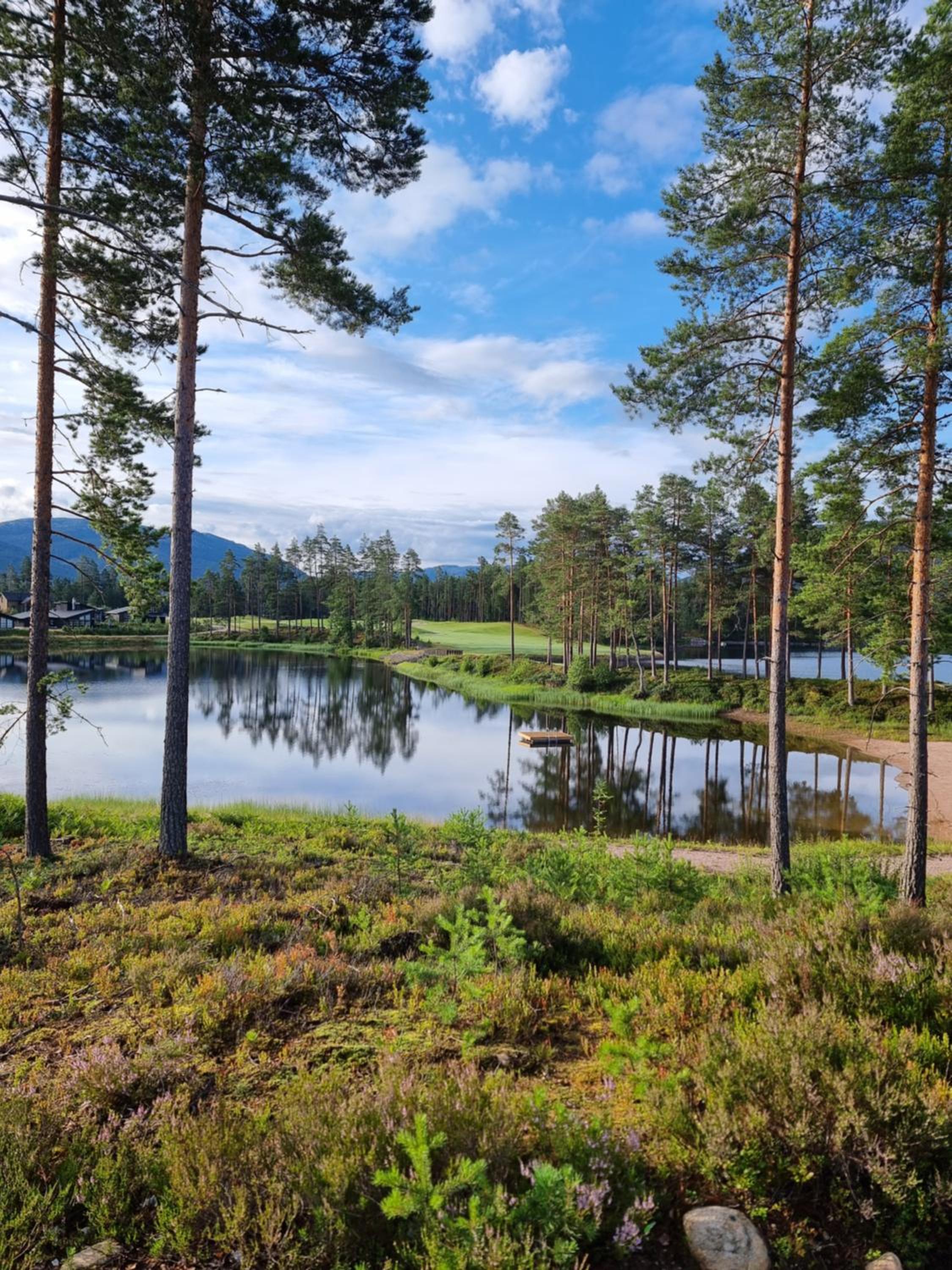 Vrådal Golf, Mountain and Water Views view 5