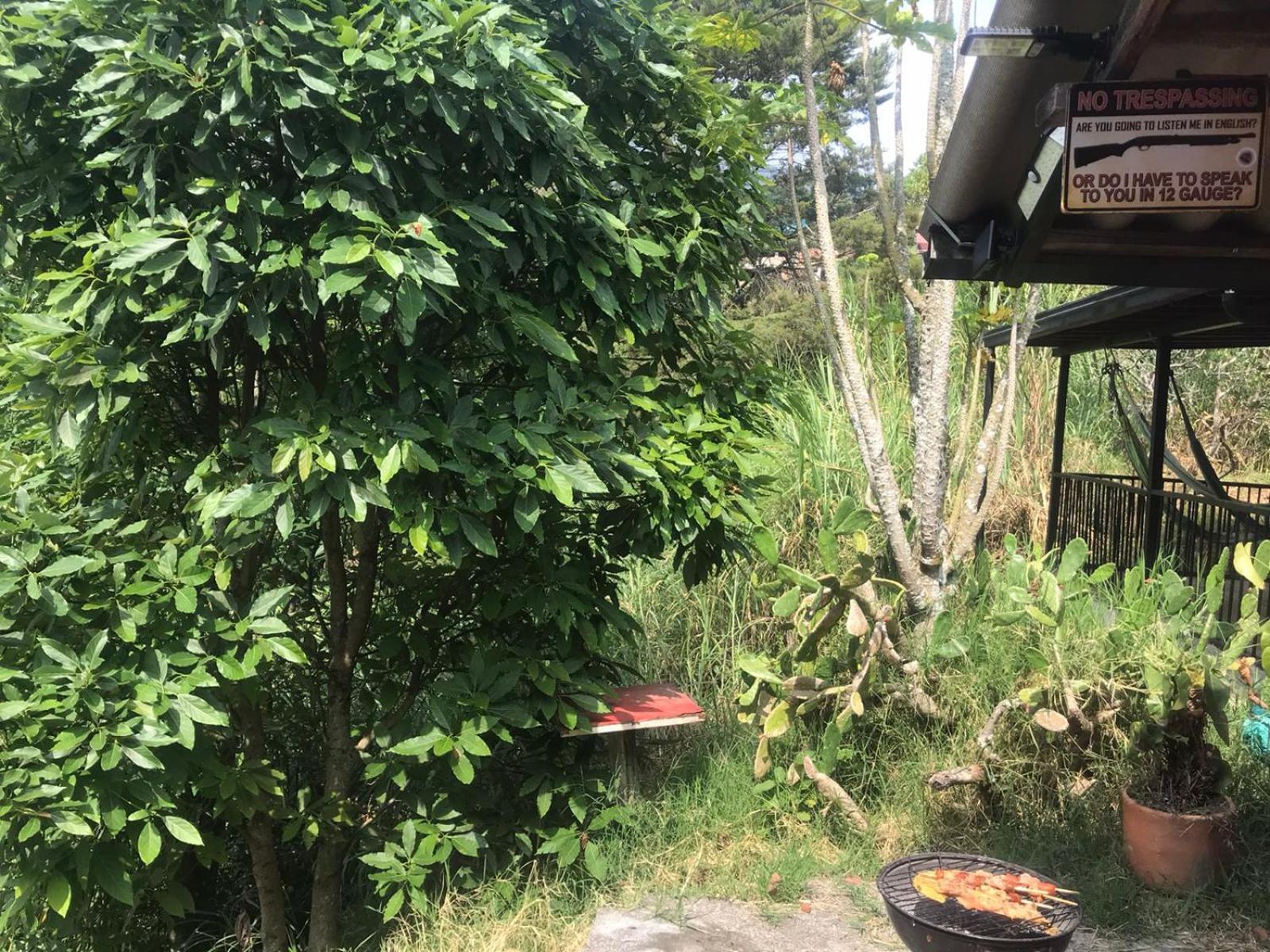 Montañita Eco Hostel Tours & Desayuno BBQ Medellin