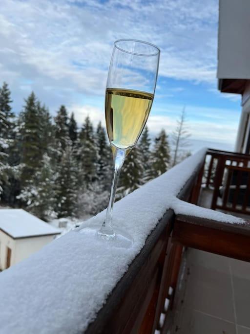 Apartment for rest in Borovets