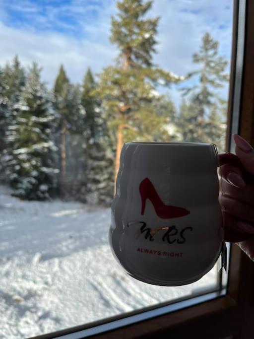 Apartment for rest in Borovets