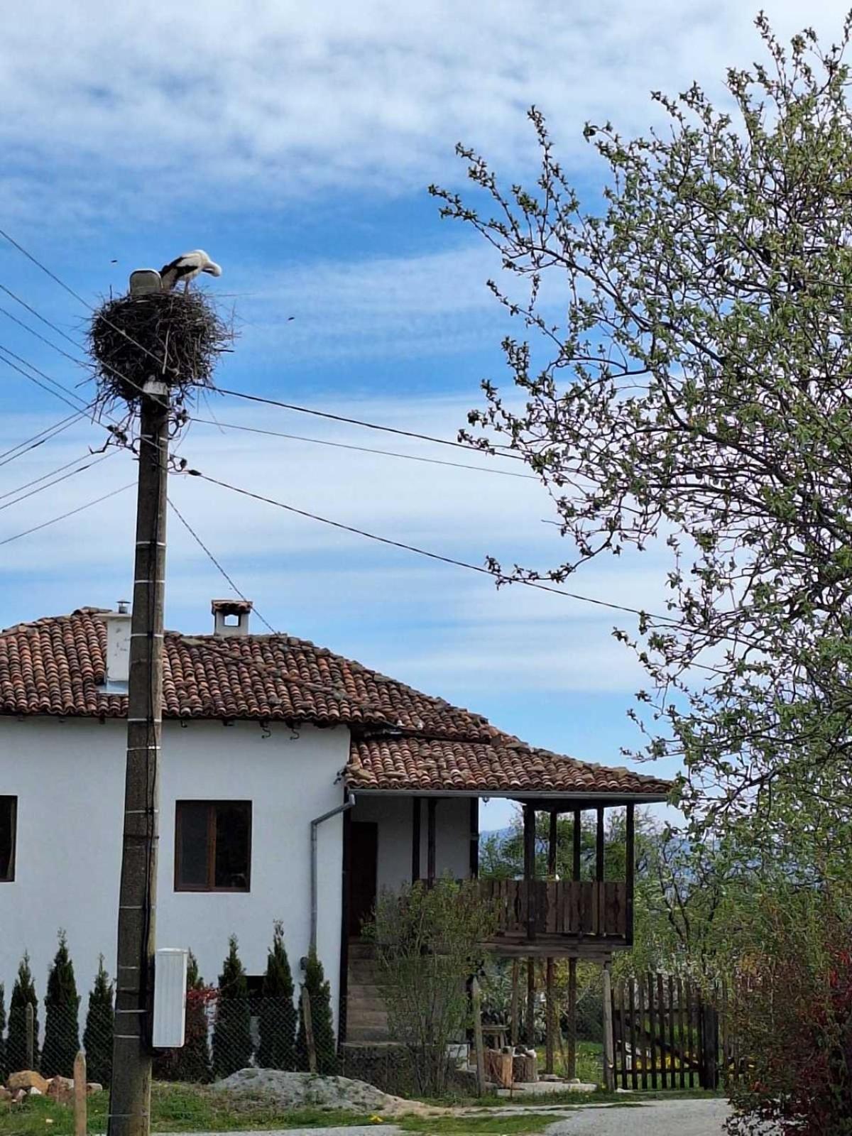 Sunny Guest House