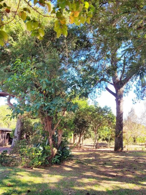 Casa da Vó Hospedagem Afetiva