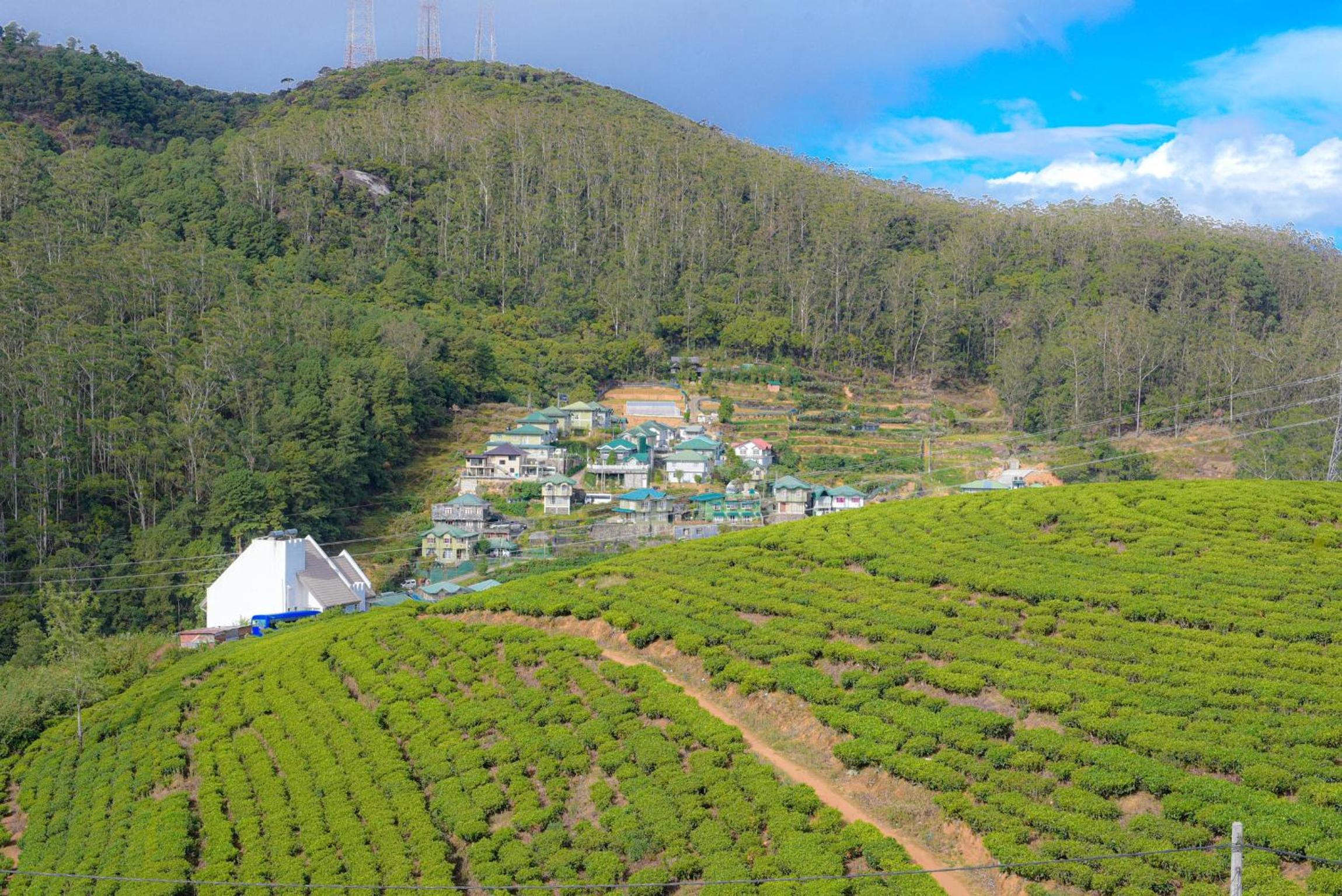 Ayona Misty Hill view 2