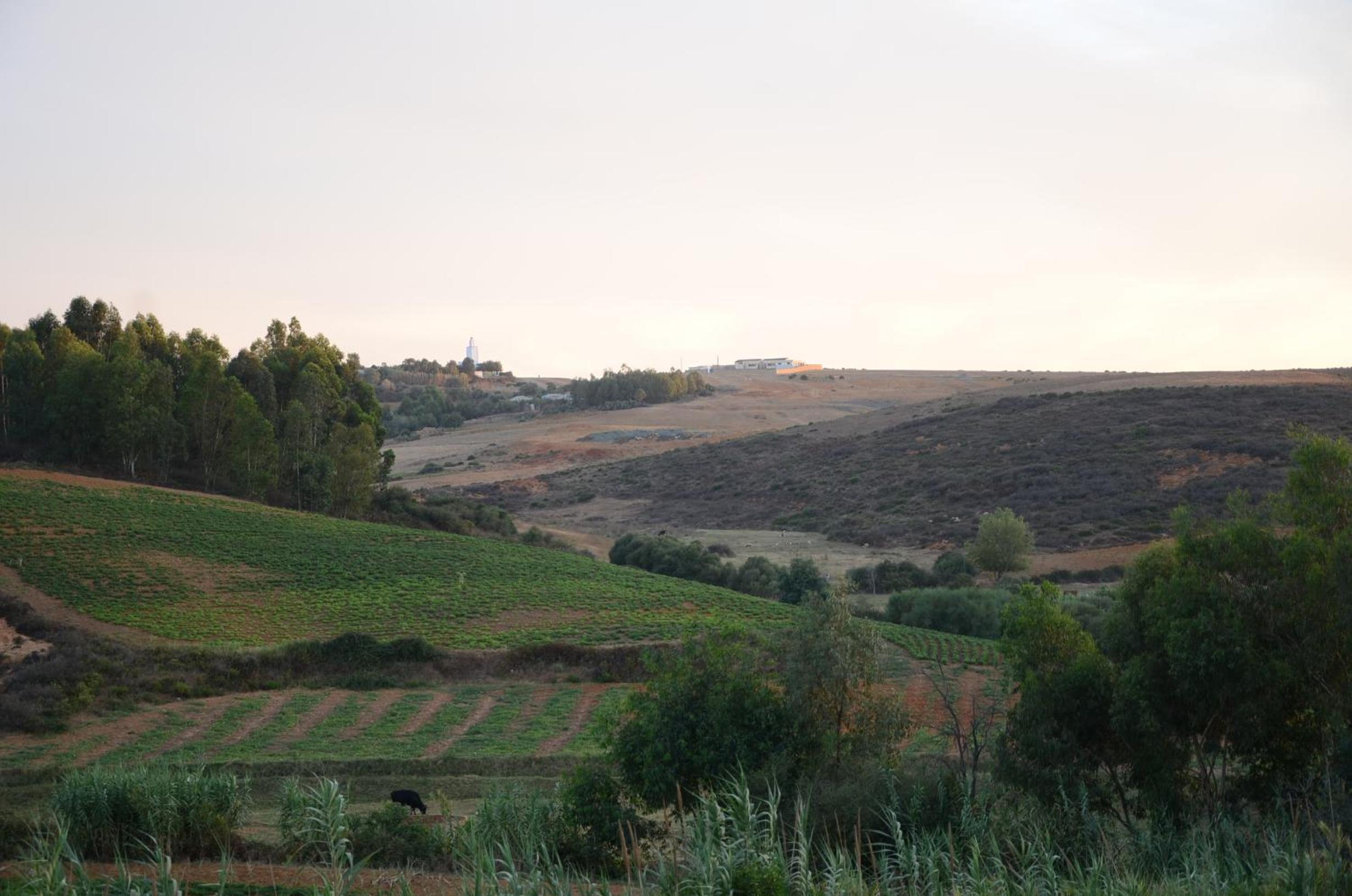 Photo 41