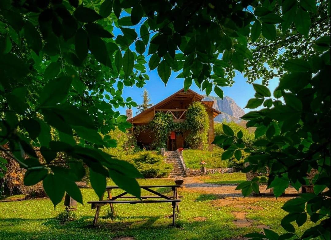 Cabana MIA Valisoara