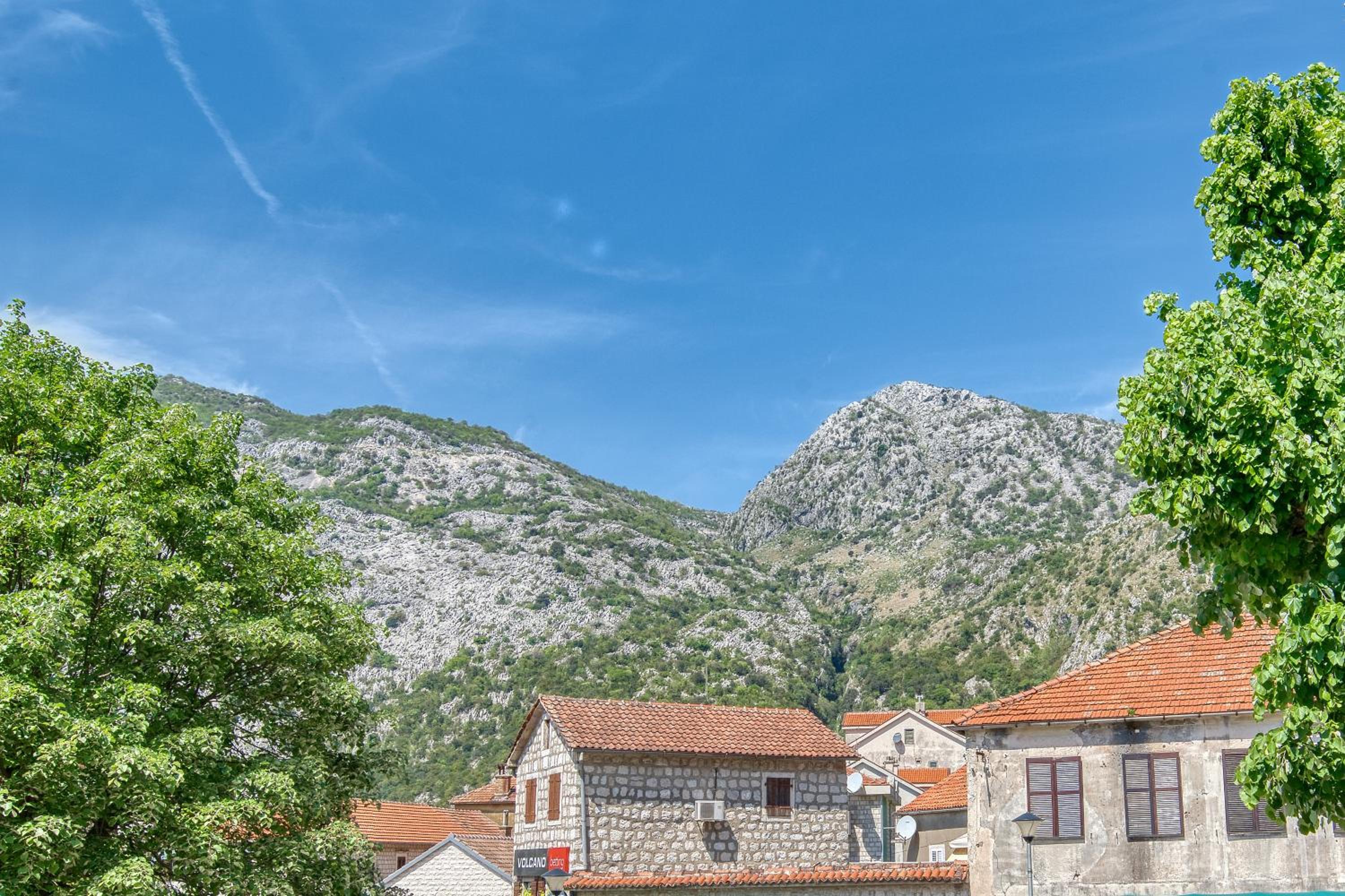 Apartments Pavic