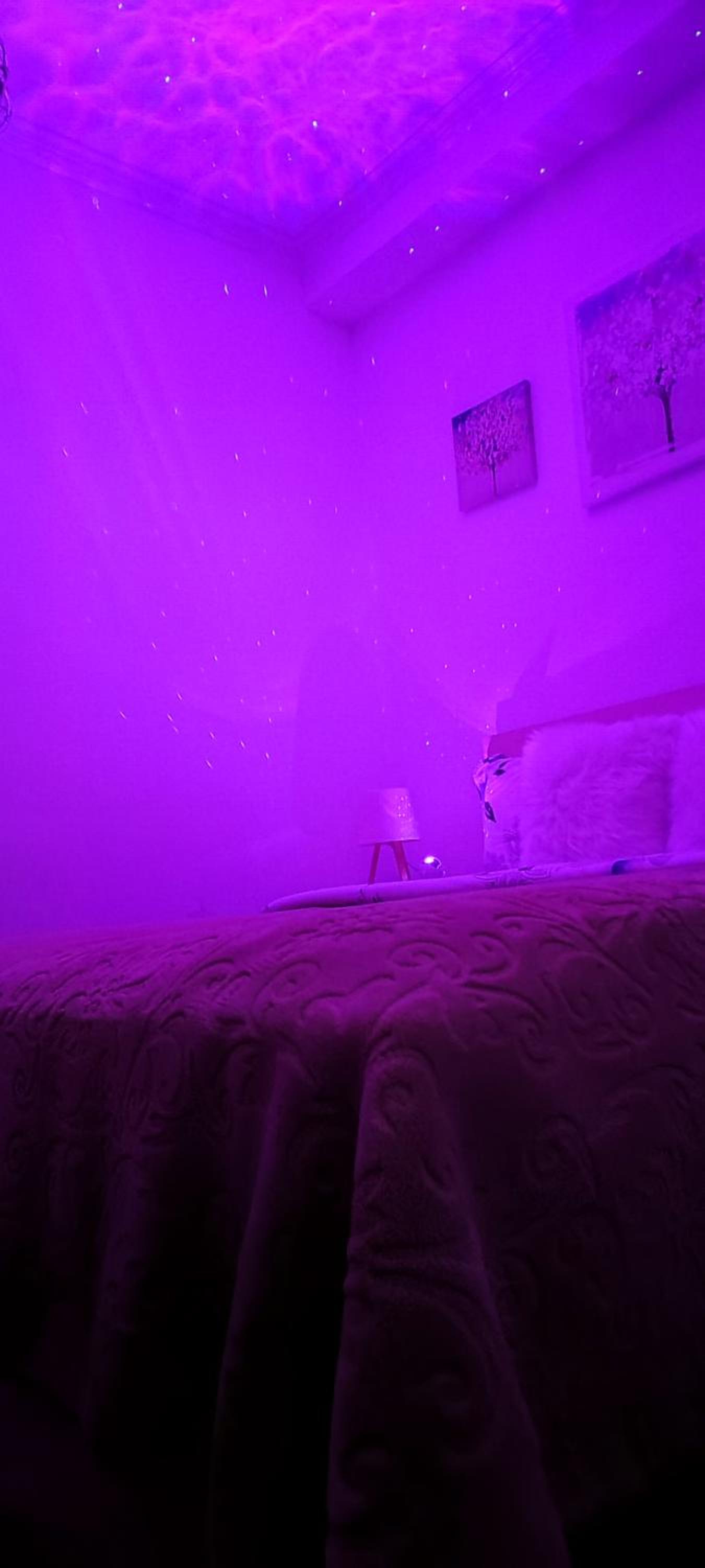 Ridi's Comfort Apartment 2