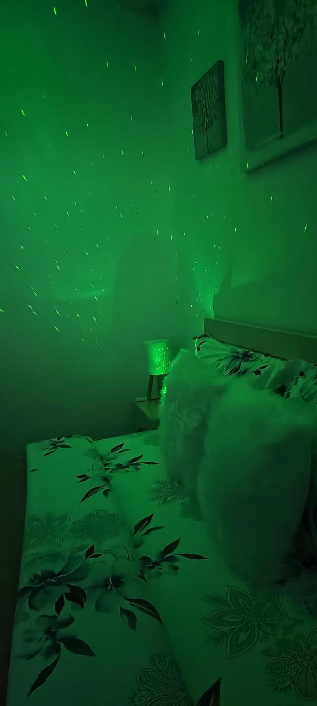 Ridi's Comfort Apartment 2