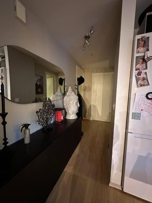 romslig leilighet til leie view 4