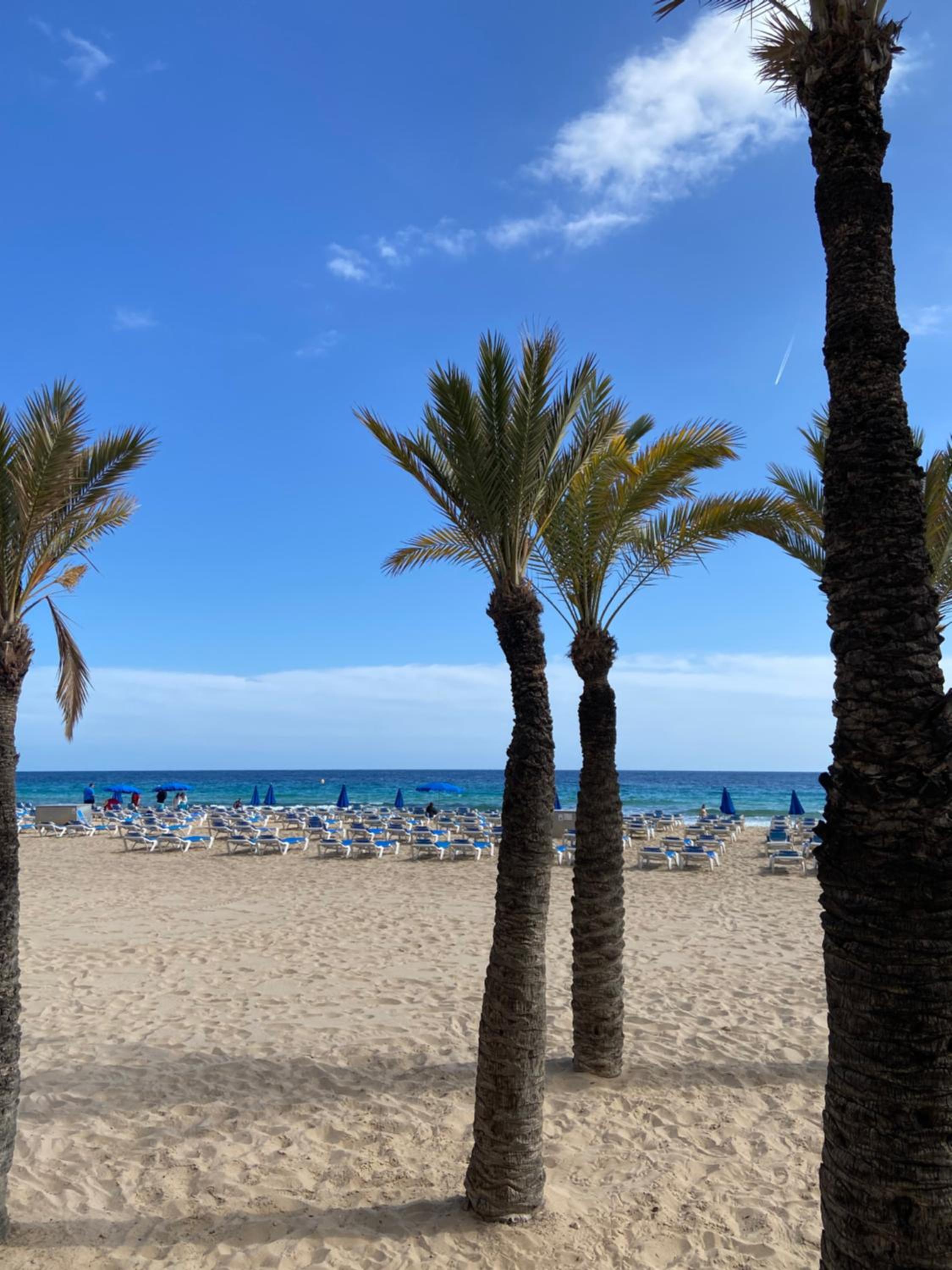 Levante Carlos V 1B view 5