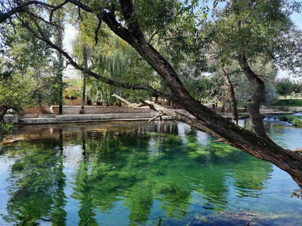 Guest house Green River