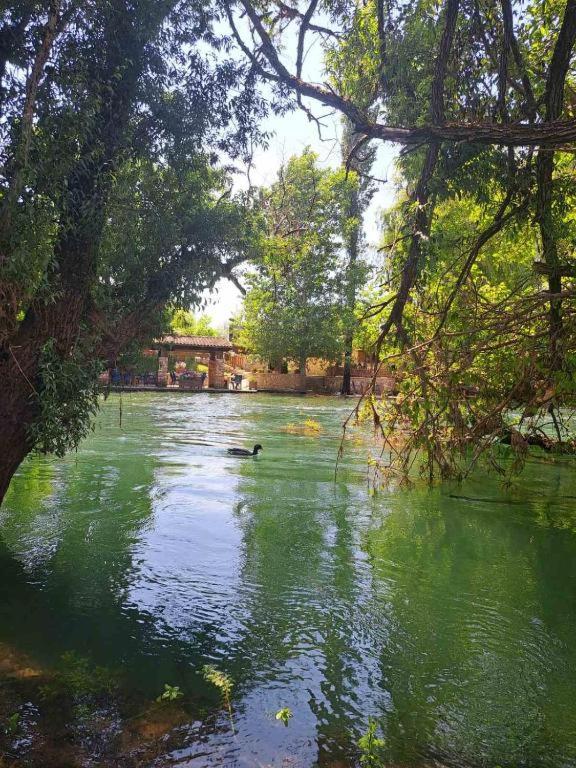 Guest house Green River