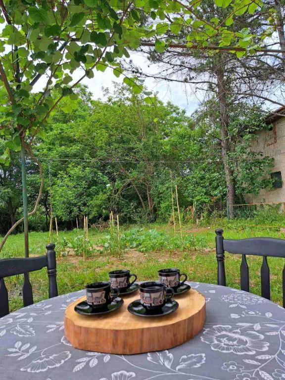 Guest house Green River