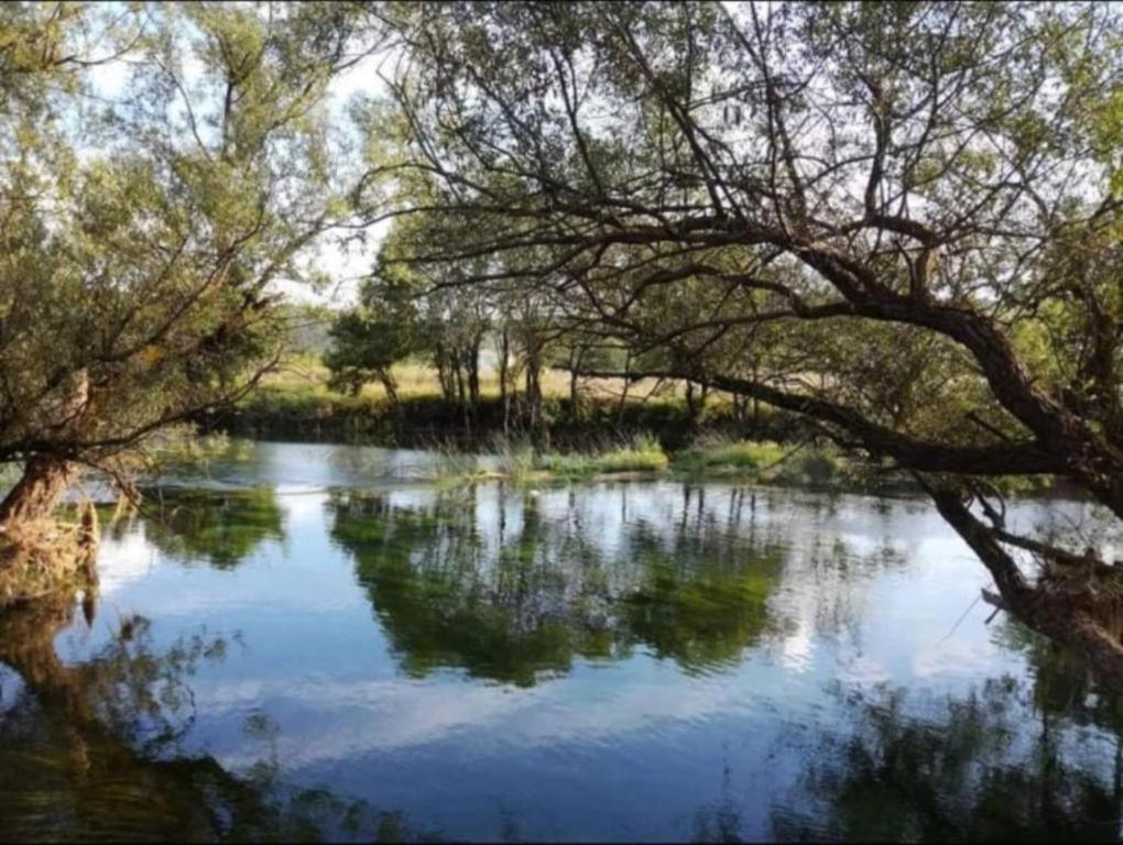 Guest house Green River