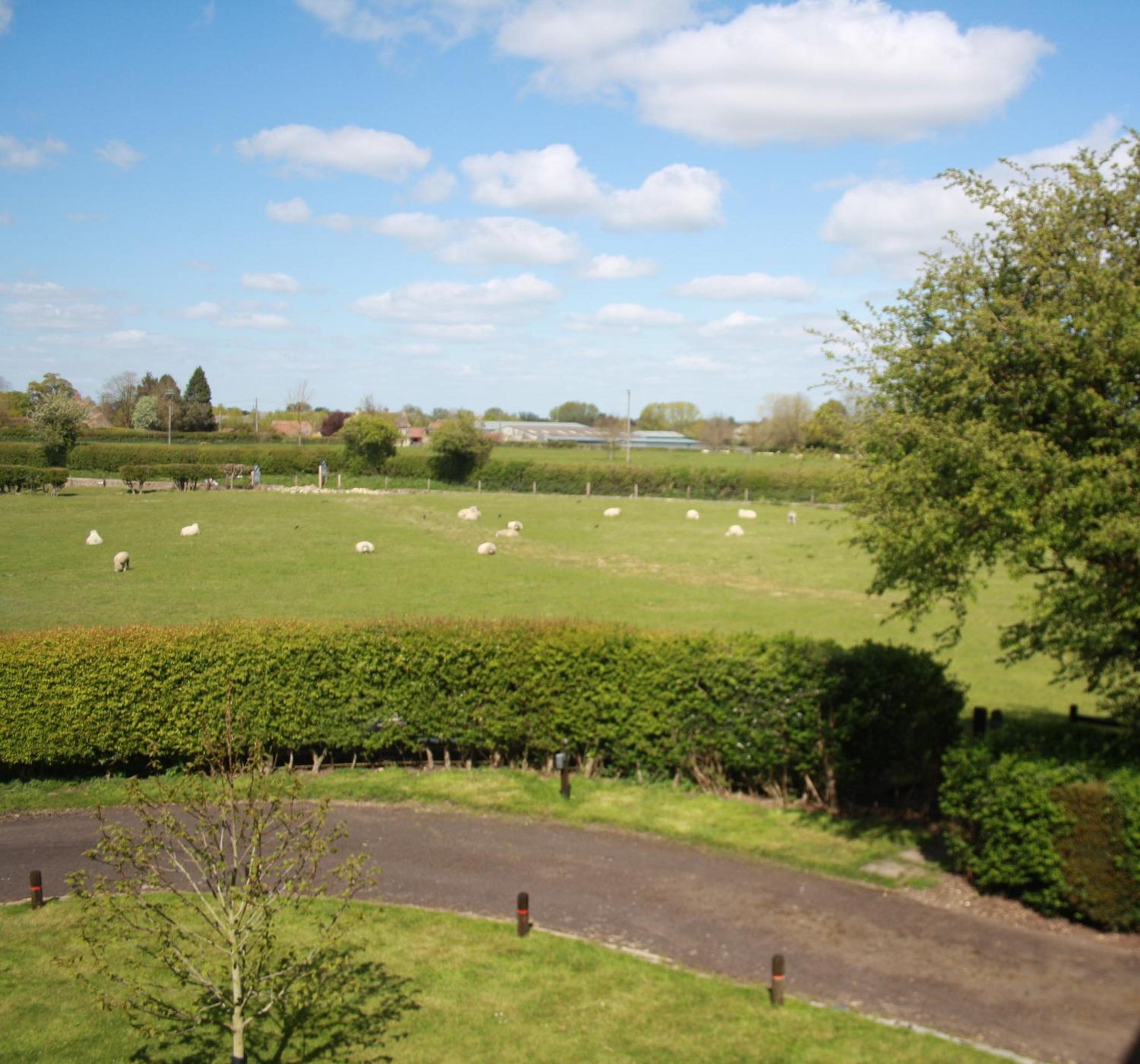 Photo 20