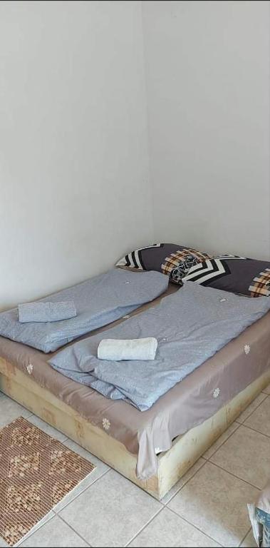 Badacsony Hostel