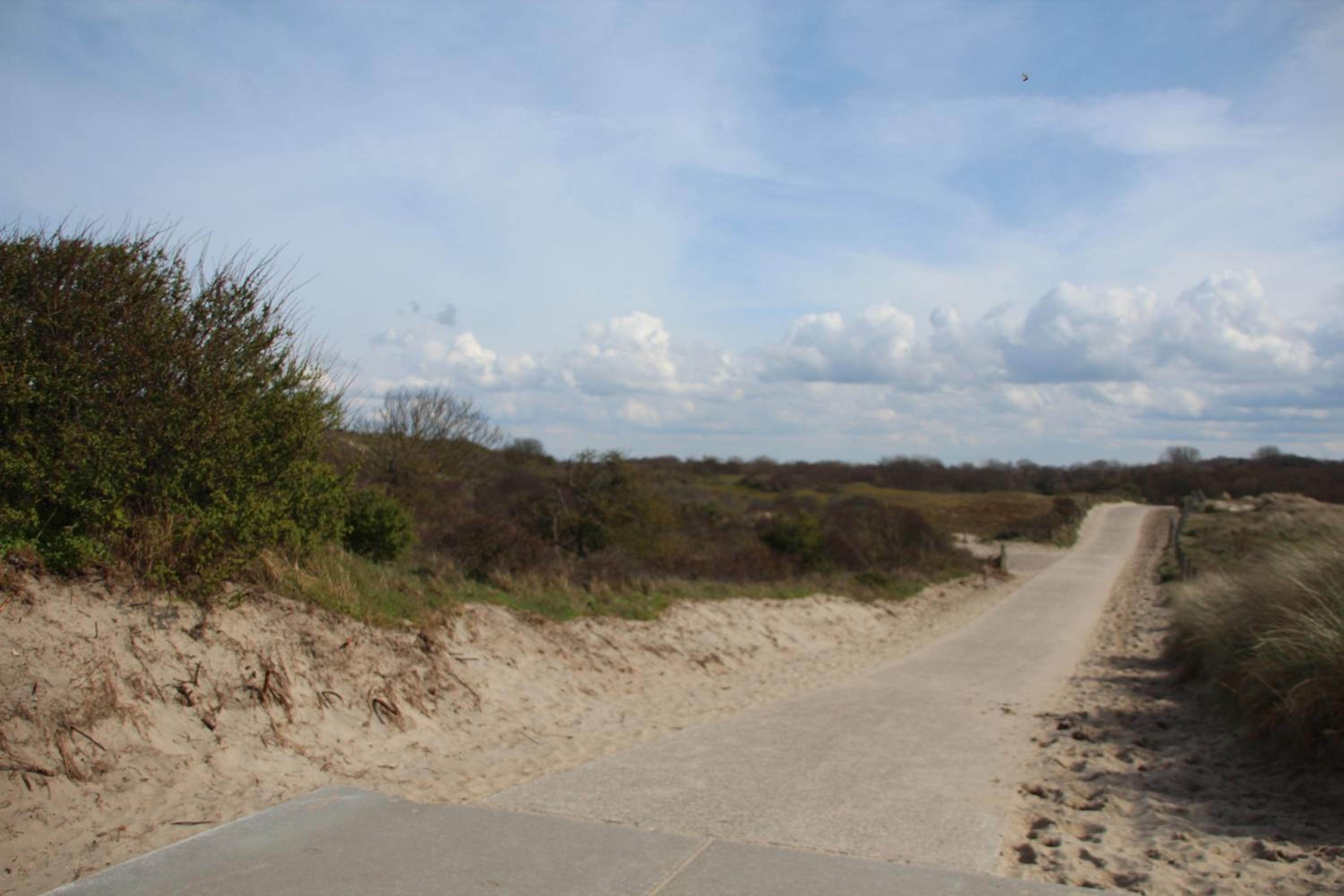 Photo 45
