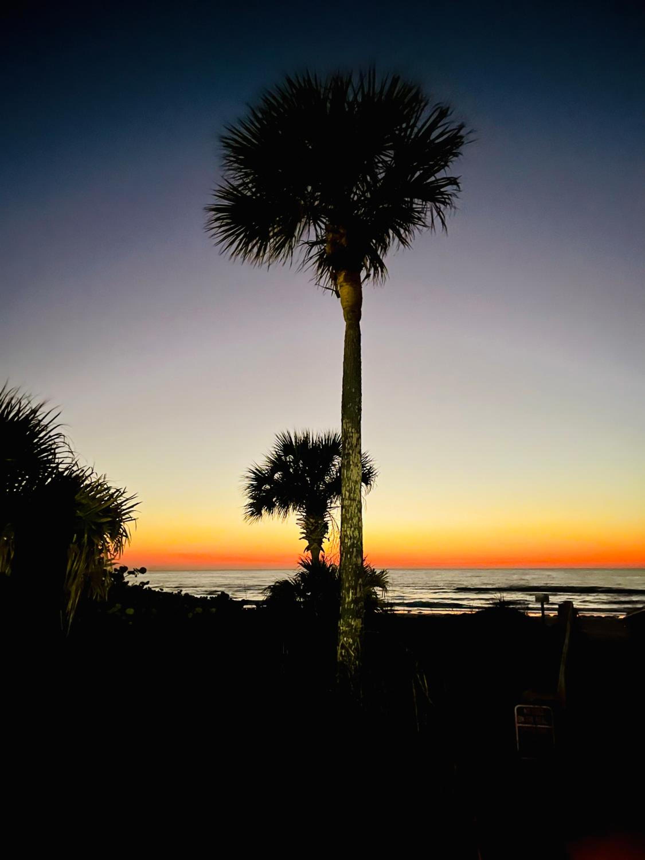 "Dunes" Gulf-View Historic Beachside Cottage 1/1 view 4