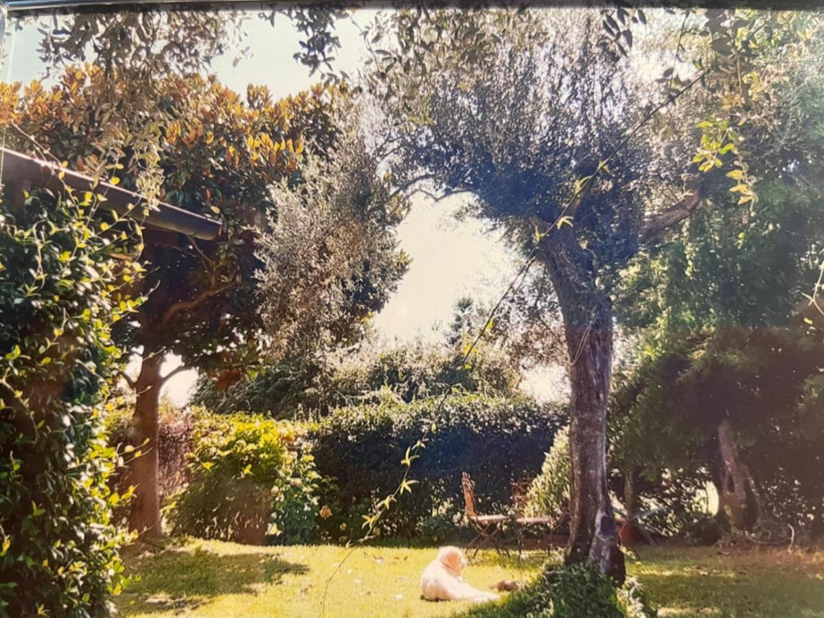 Villa Vecchia Fontana al mare - Tra Liguria e Toscana tra Viaregggio, Forte dei Marmi e Cinque Terre- Haus am Meer bei la Spezia
