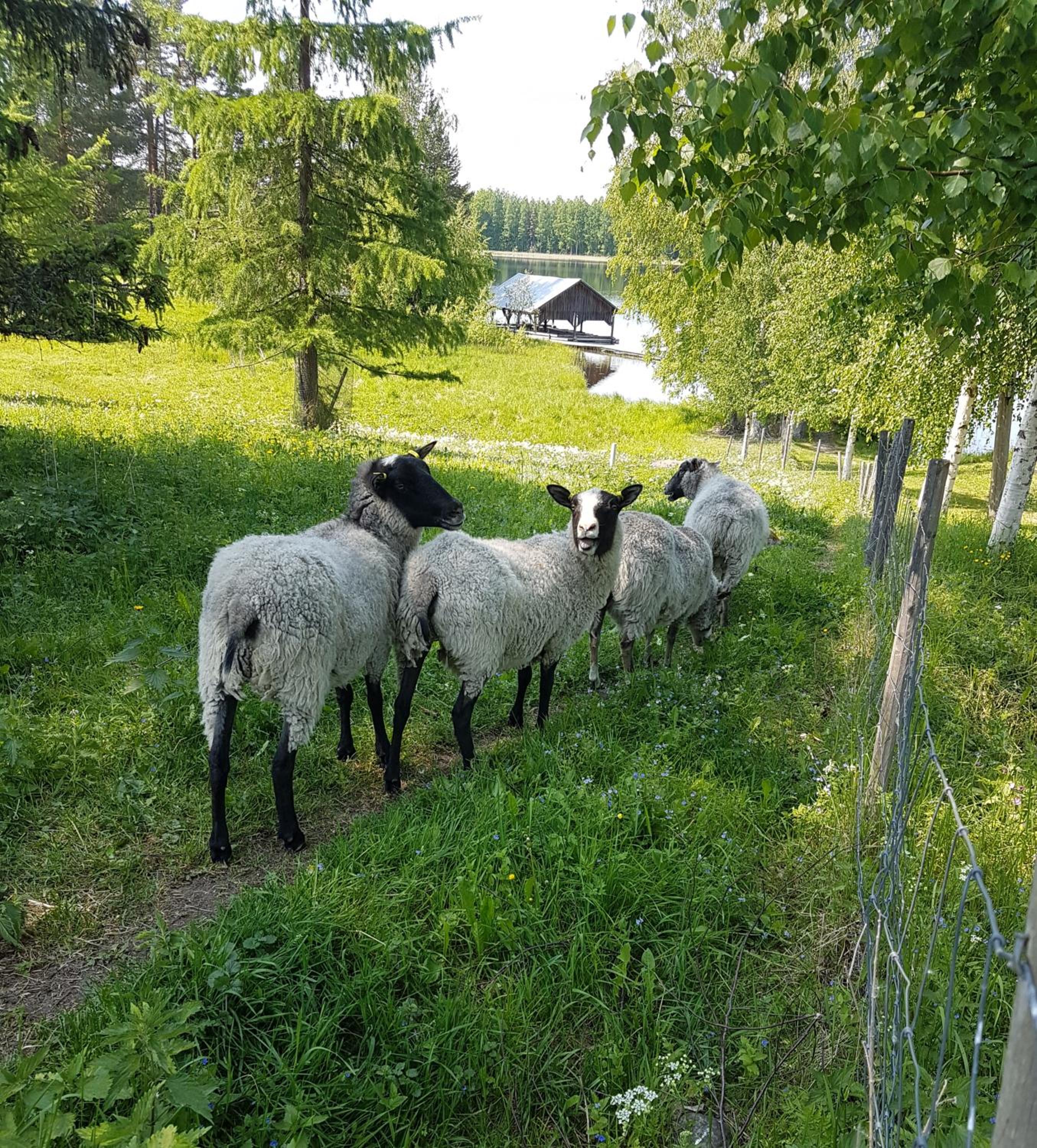 Photo 23