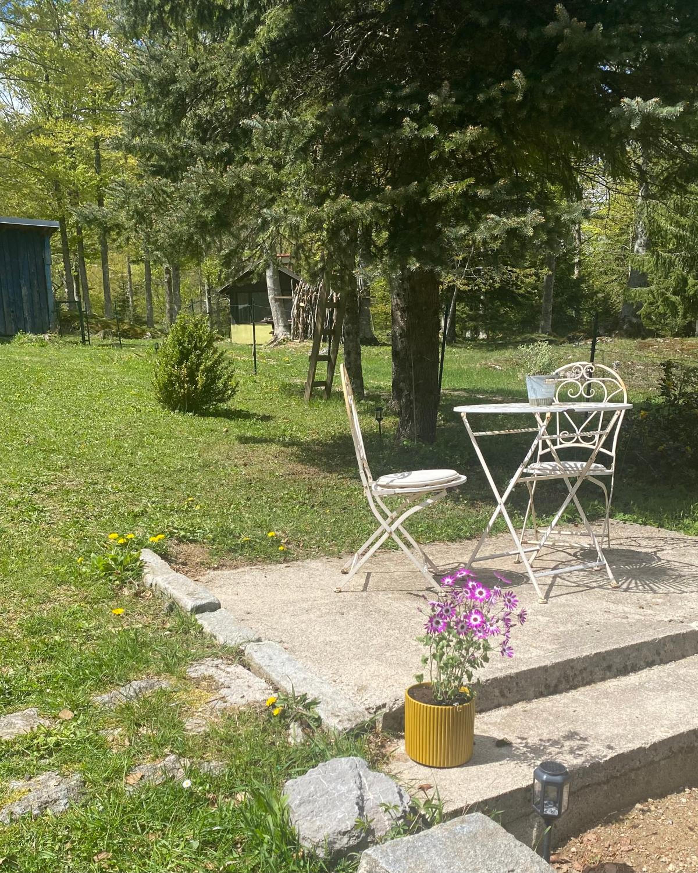 Photo 7