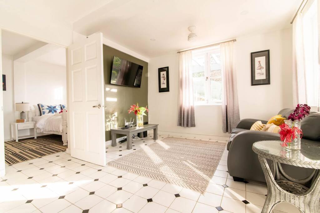 Luxury 1BR condo in St. Lucia view 4