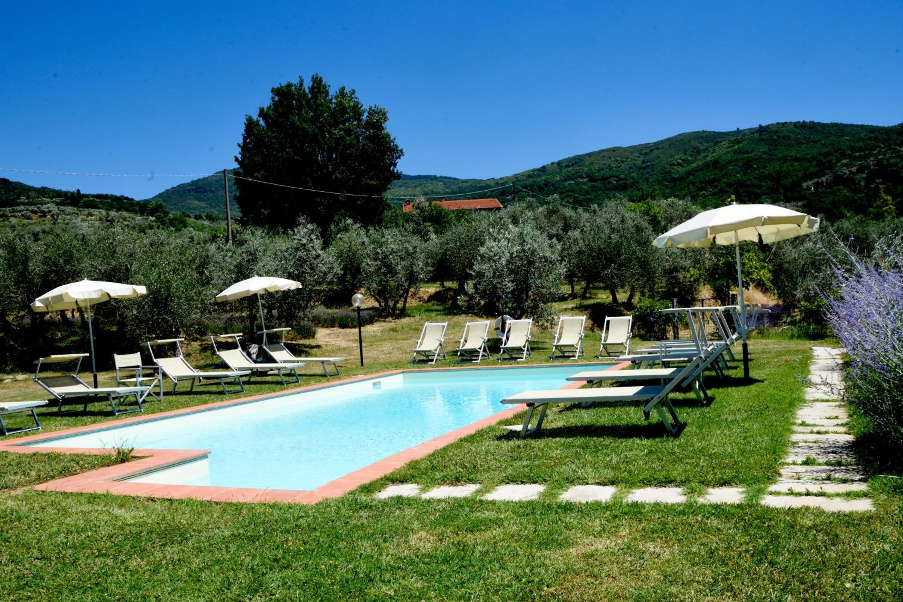 Comfortable apartment in the heart of the Tuscan countryside view 4
