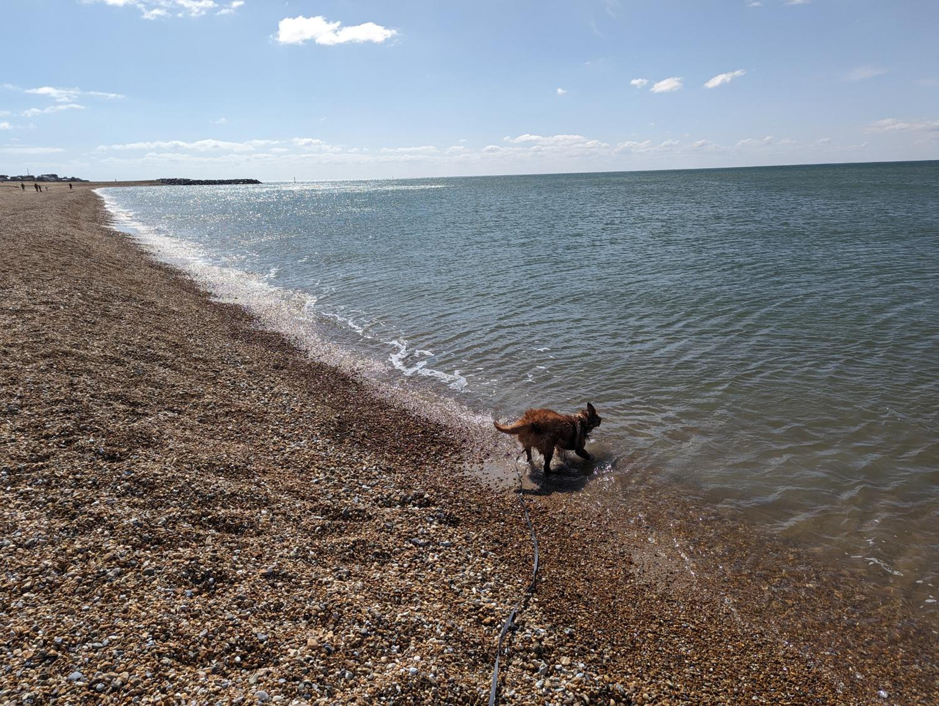 Photo 14
