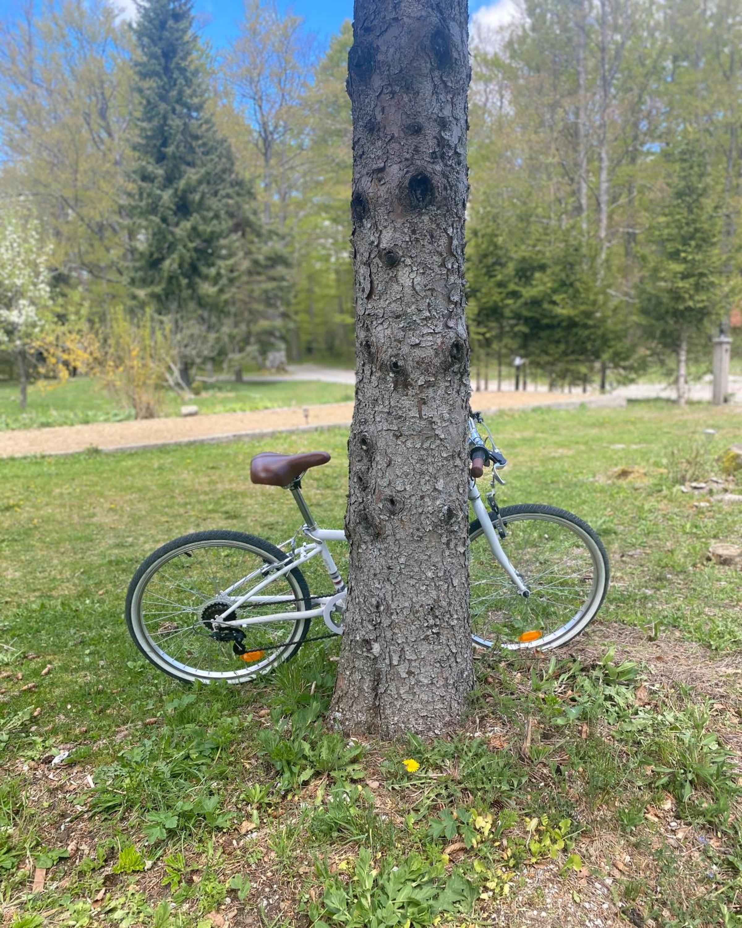 Photo 14