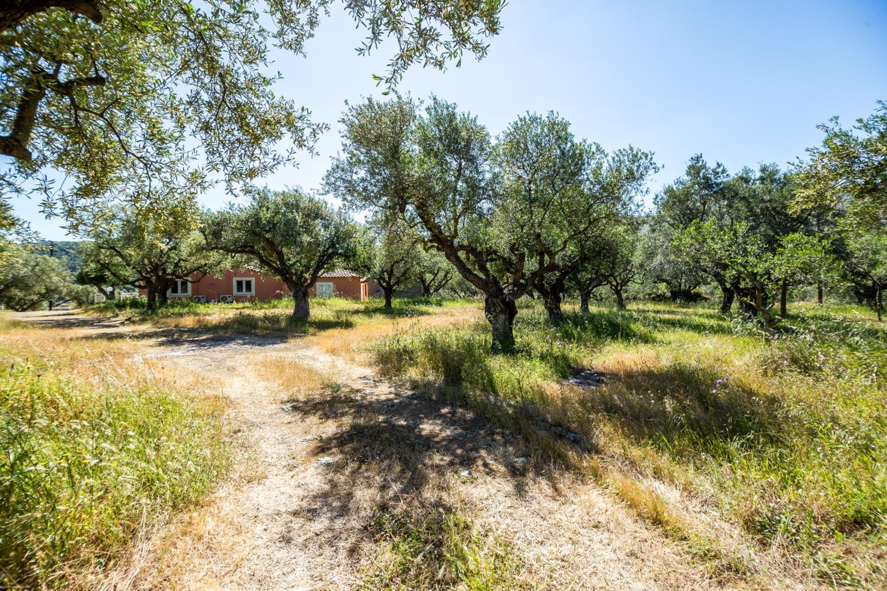 Irida Residence