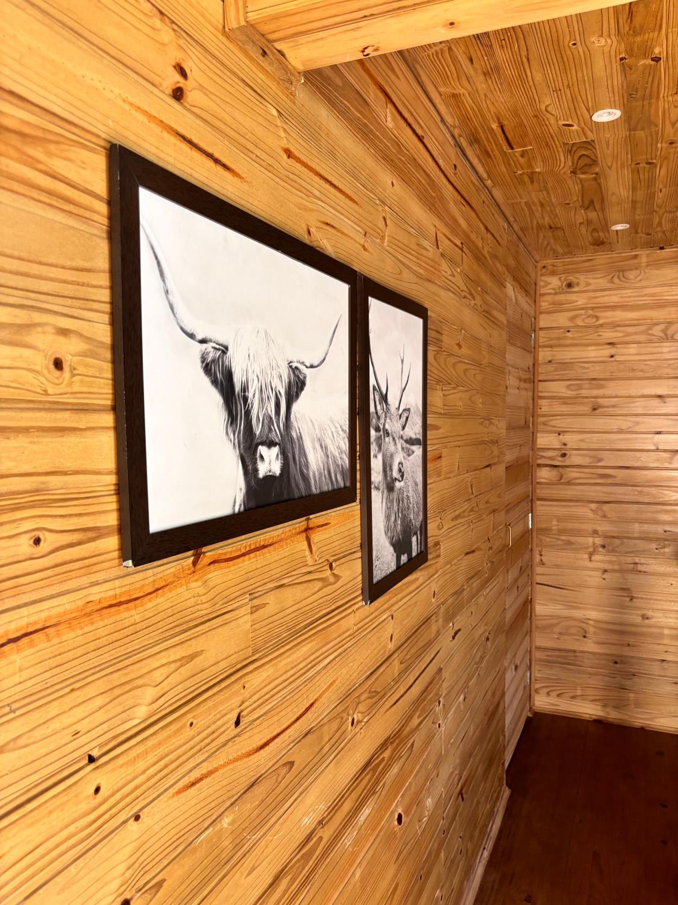Into The Wild Cabin