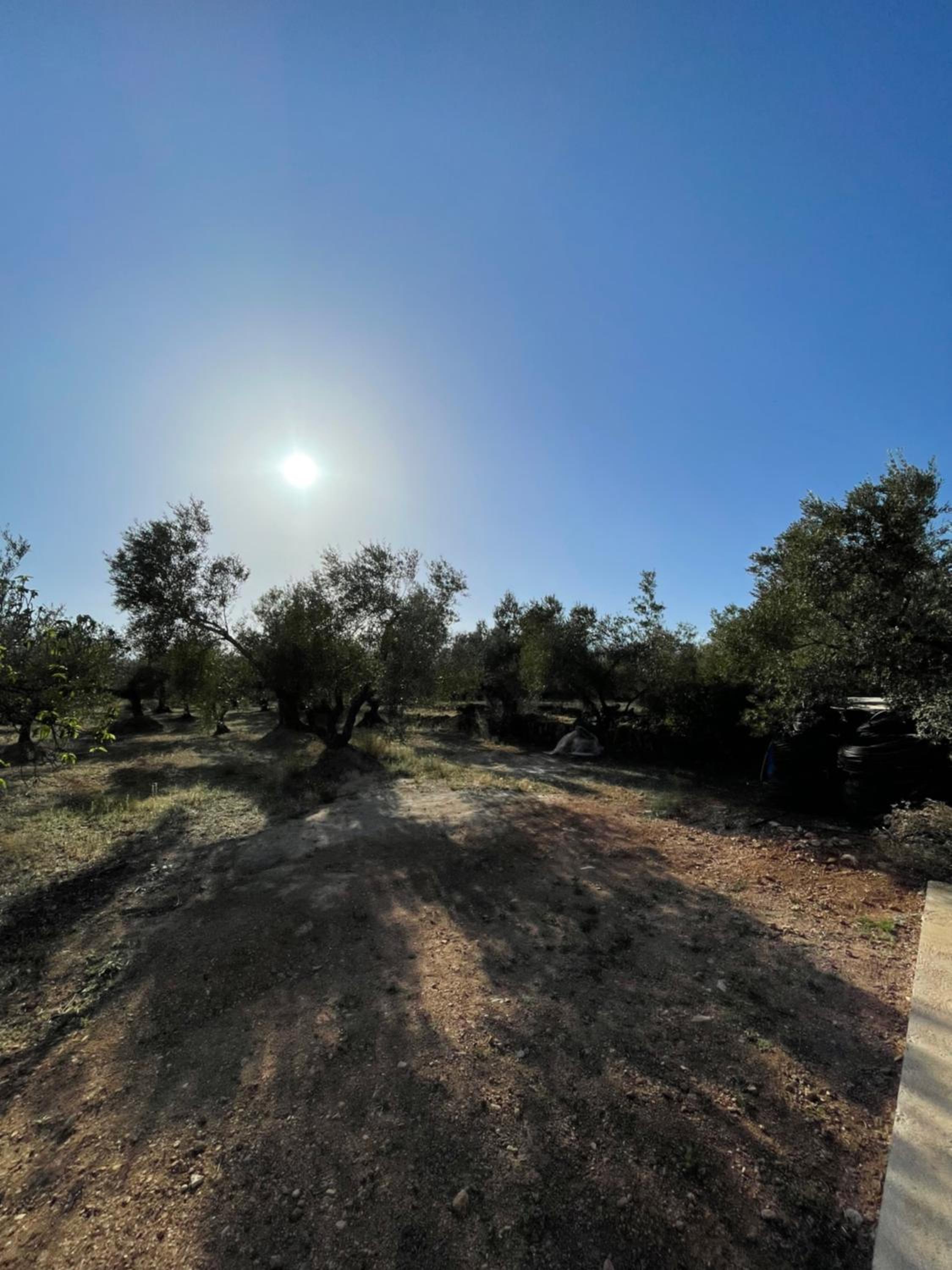 La Plana “alojamiento turístico vacacional”
