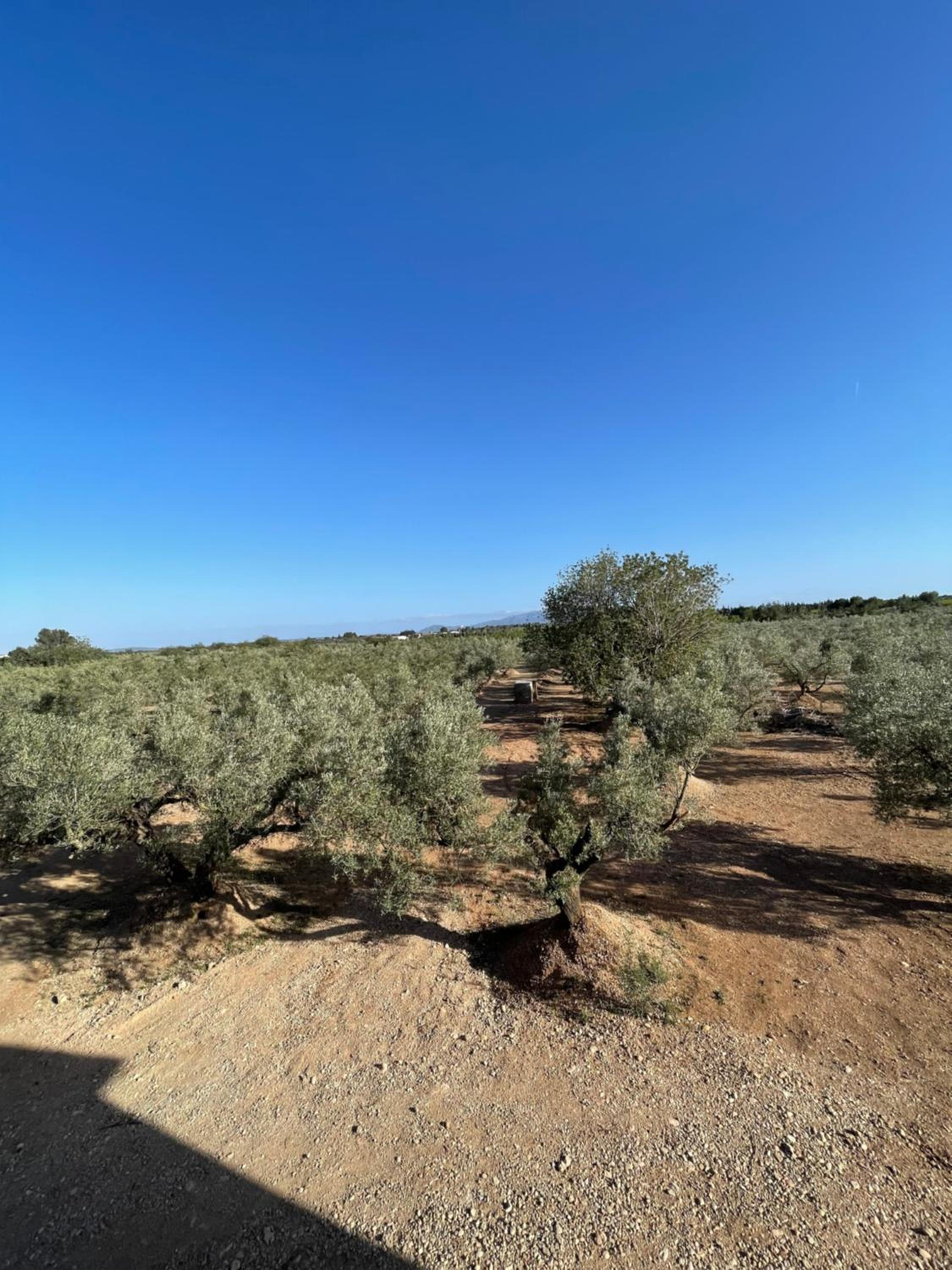La Plana “alojamiento turístico vacacional”
