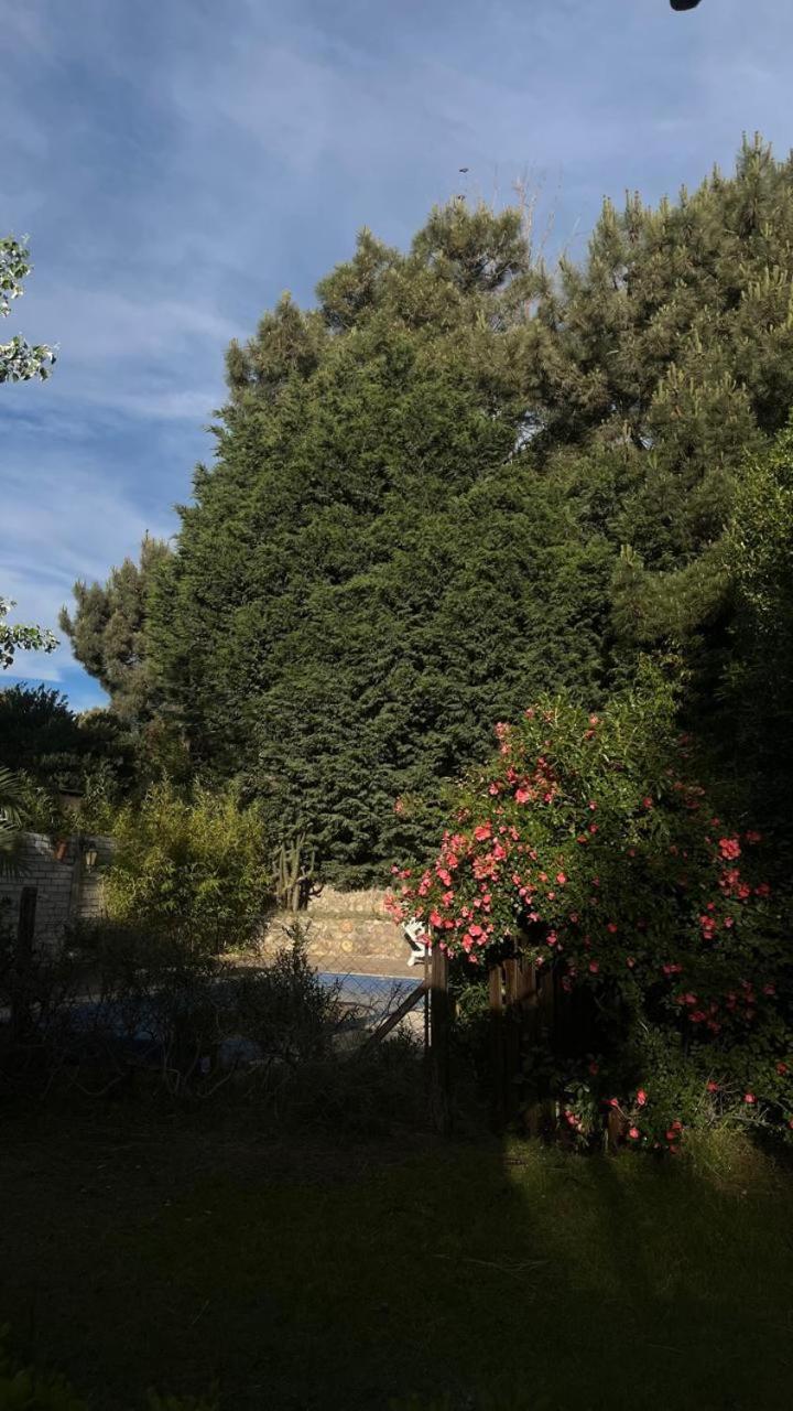 Casa Monte
