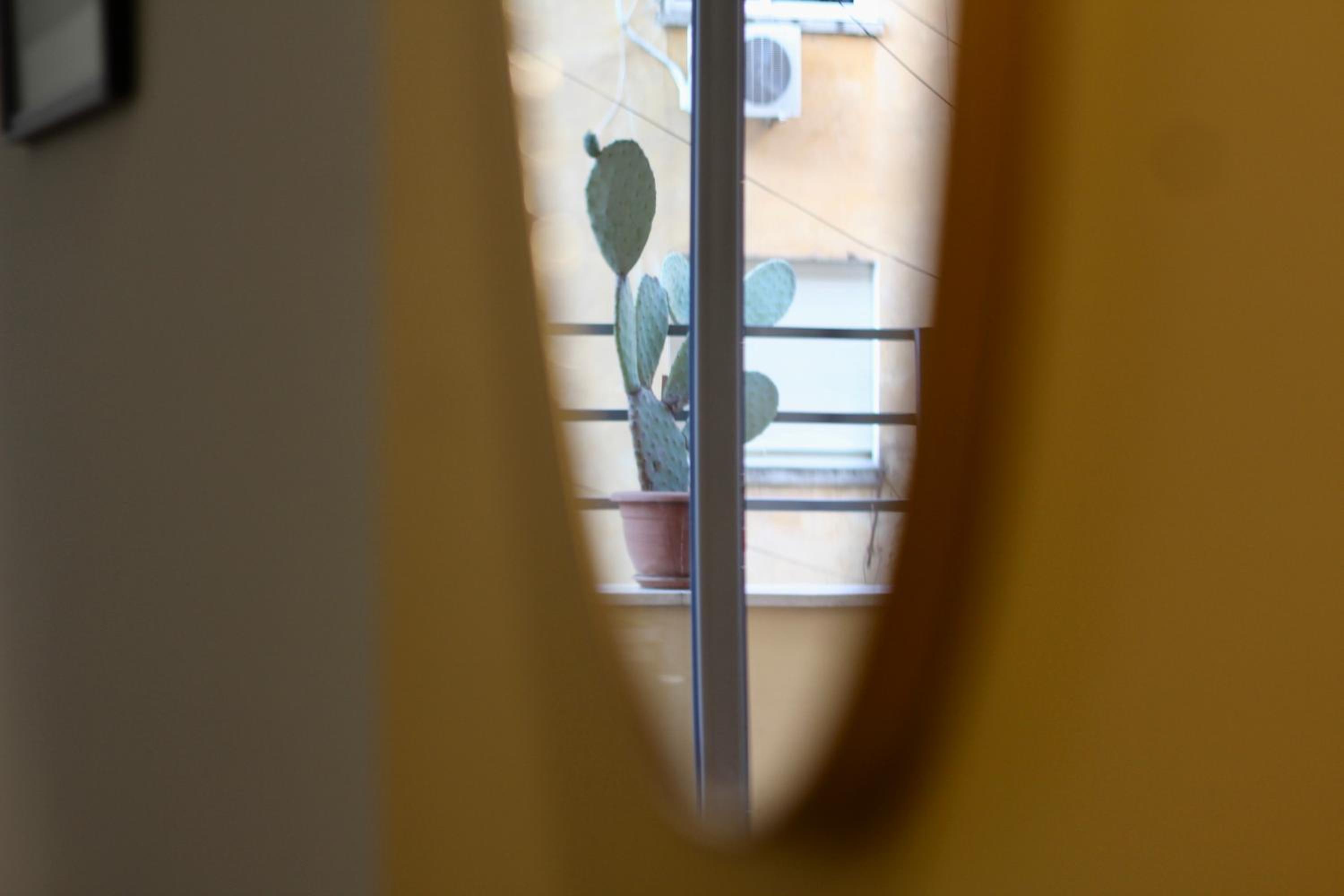 Cactus Cozy Apartment Tirana