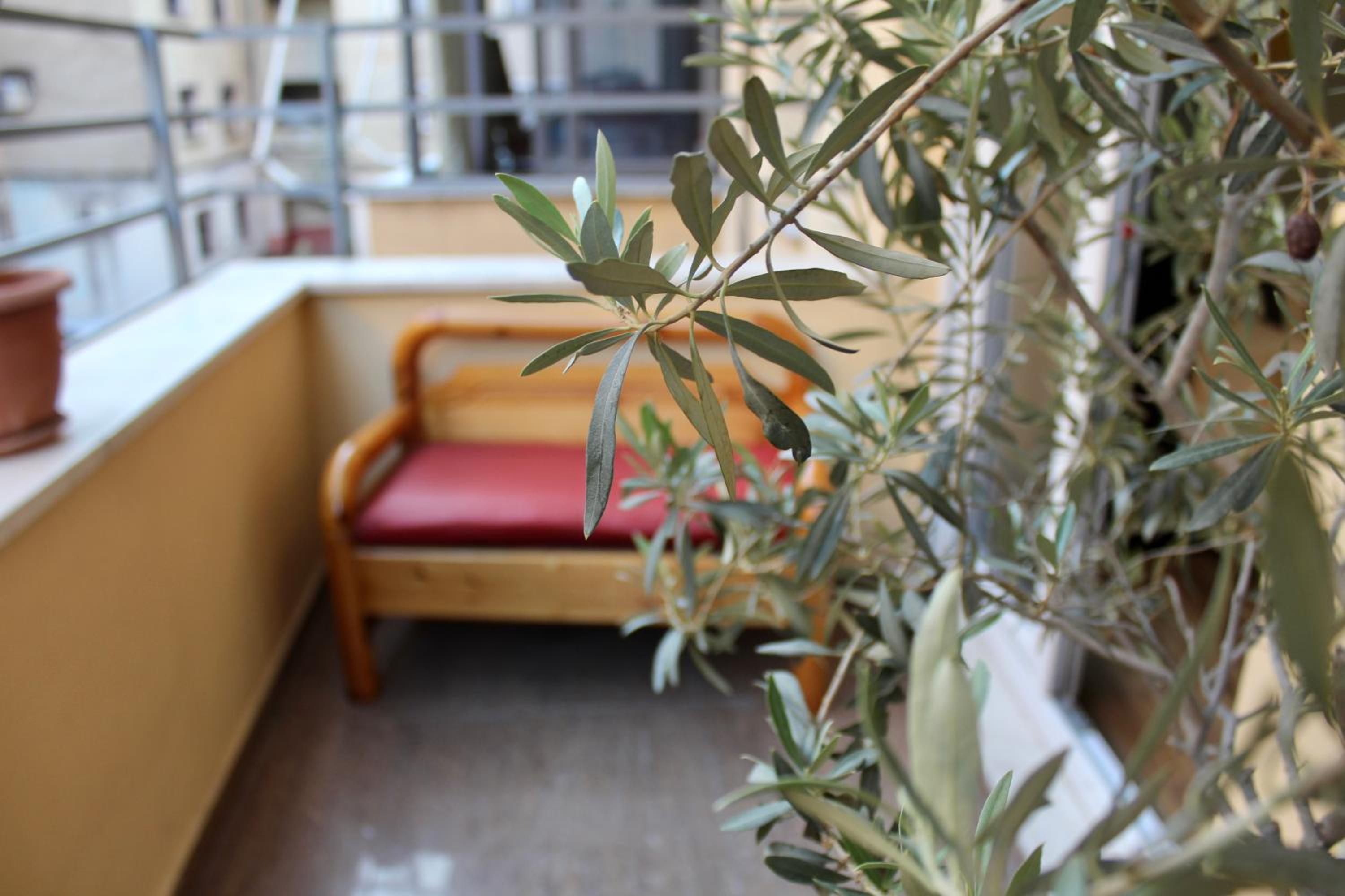 Cactus Cozy Apartment Tirana