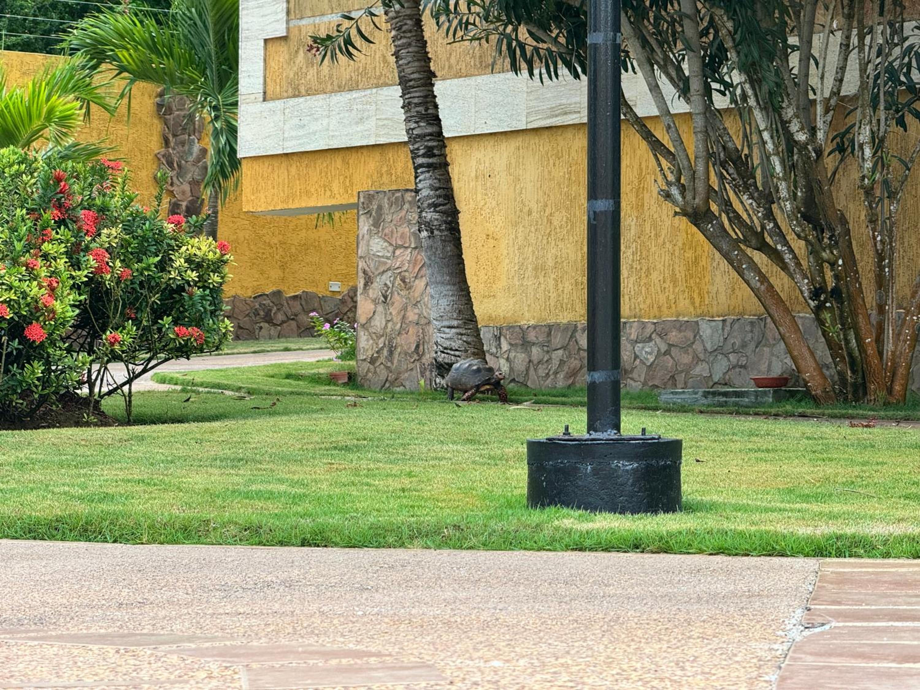 TATRAMAR